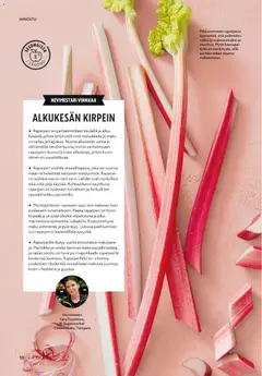 K-Market-mainoslehti voimassa 06.05.2026 alkaen | Sivu: 10 | Tuotteet: Raparperi, Minttu, Voi