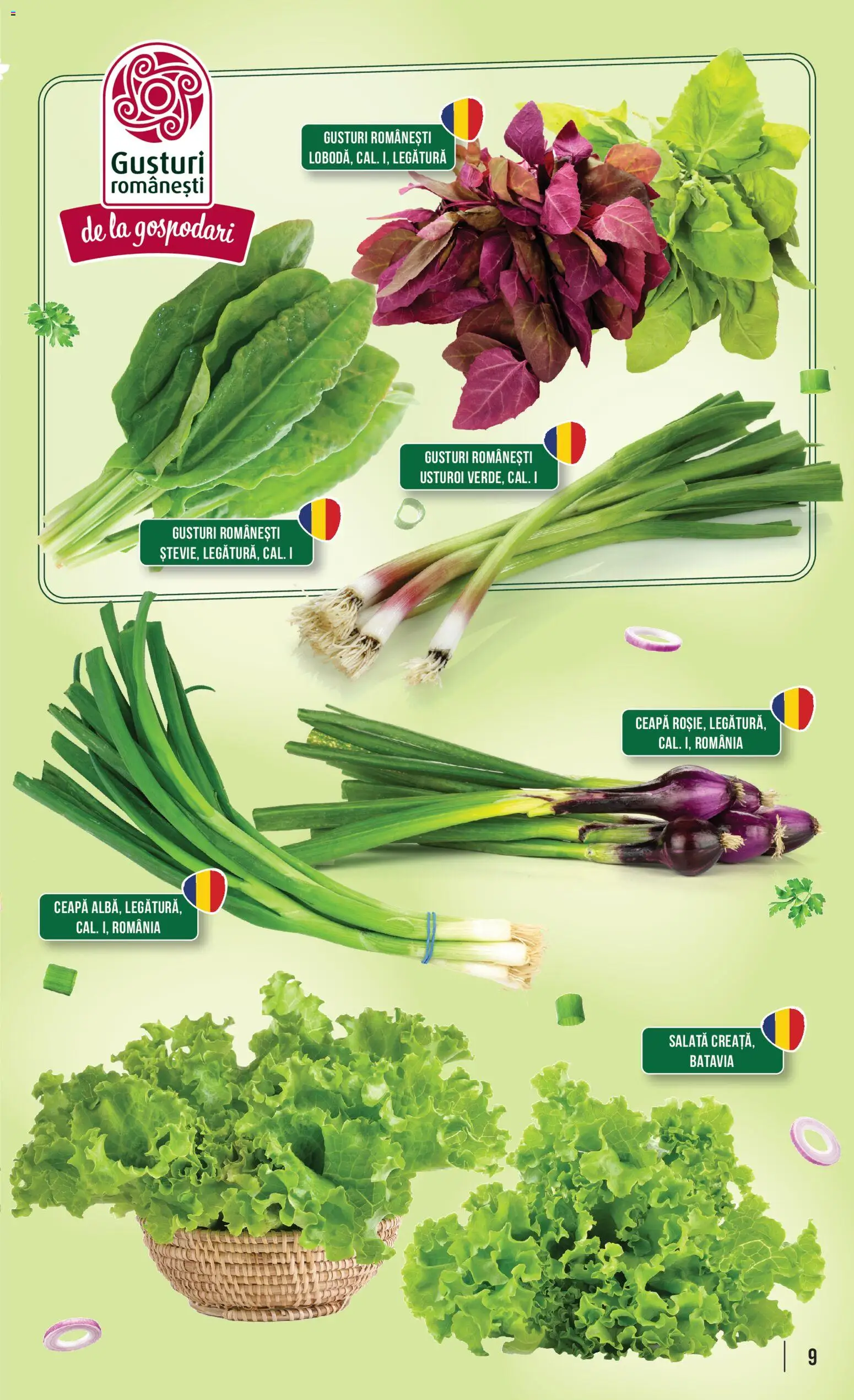 Noul catalog Mega Image – valabil de la 09.04.2026 | Pagină: 9 | Produse: Salată, Ceapă, Usturoi