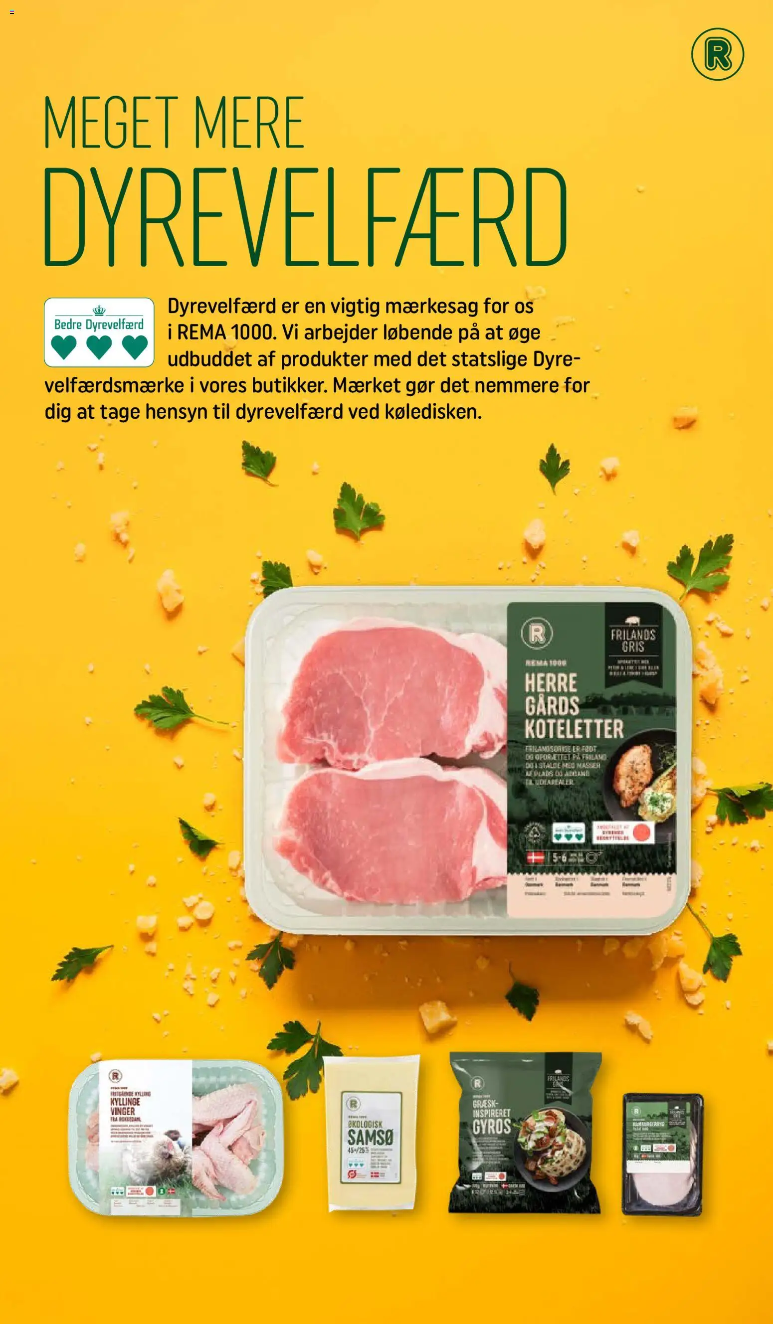 Rema 1000 tilbudsavis – gyldig fra 09.11.2025 | Side: 13 | Produkter: Koteletter, Hamburgerryg