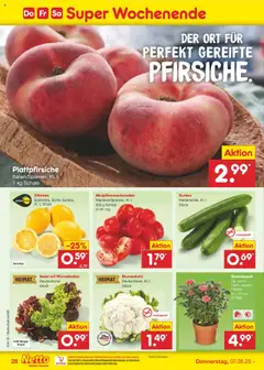 Netto Marken-Discount Prospekt 	 - gültig ab dem 04.08.2025 | Seite: 48