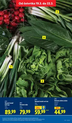 Domaći mladi crni luk, Veza - pregled Lidl kataloga - važi od 19.03.2026 | Strana: 19 | Proizvode: Salata, Crni luk, Beli luk