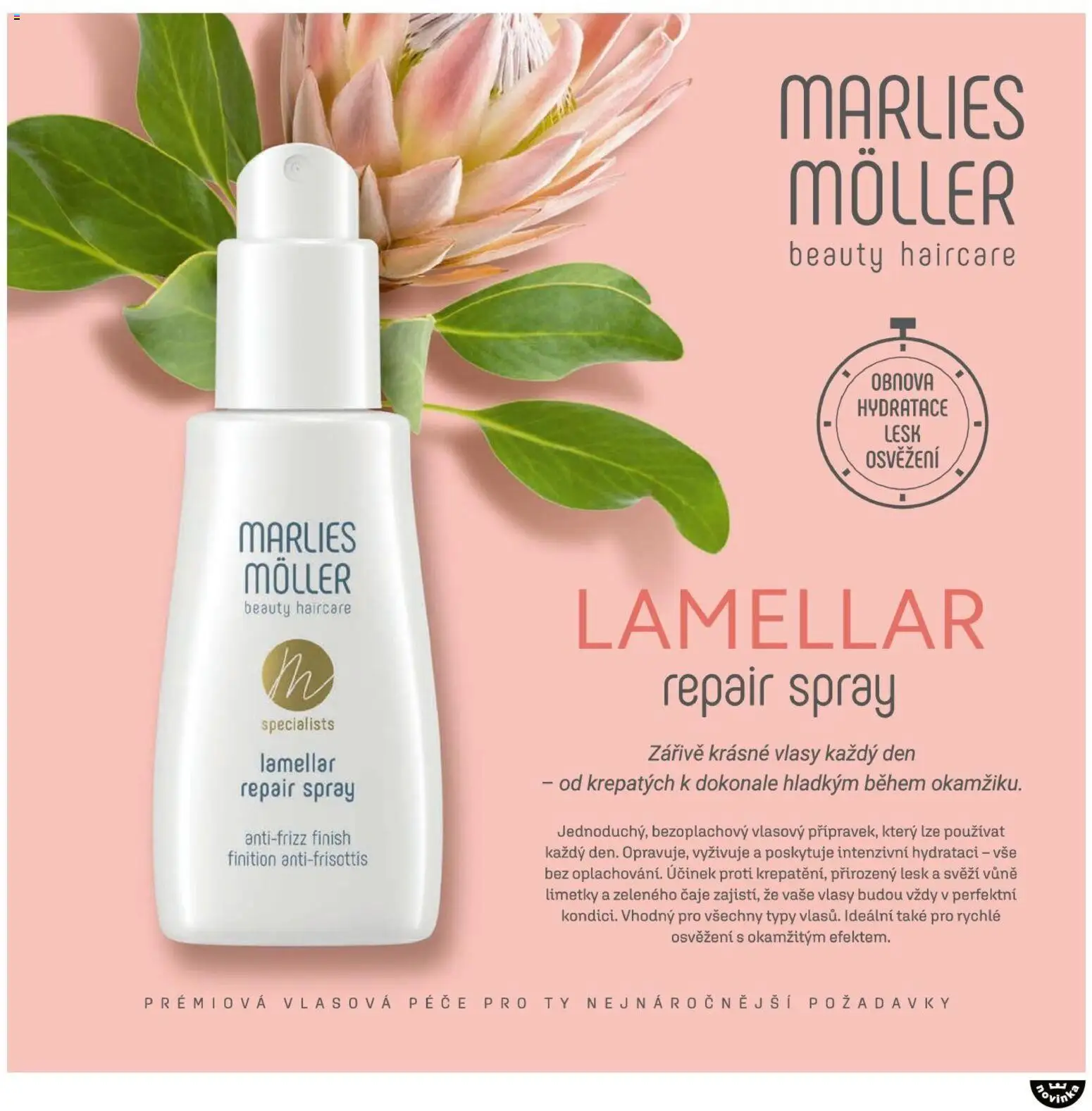 FAnn katalog Vánoce 2025 od 30.10.2025 | Strana: 85 | Produkty: Finish, Limetky, Čaje