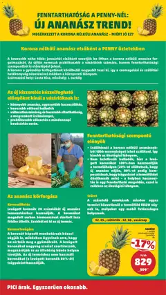 ANANÁSZ, I. osztály származási ország: Costa Rica db - amely érvényes a következő dátumtól: 05.02.2026 | Oldal: 31