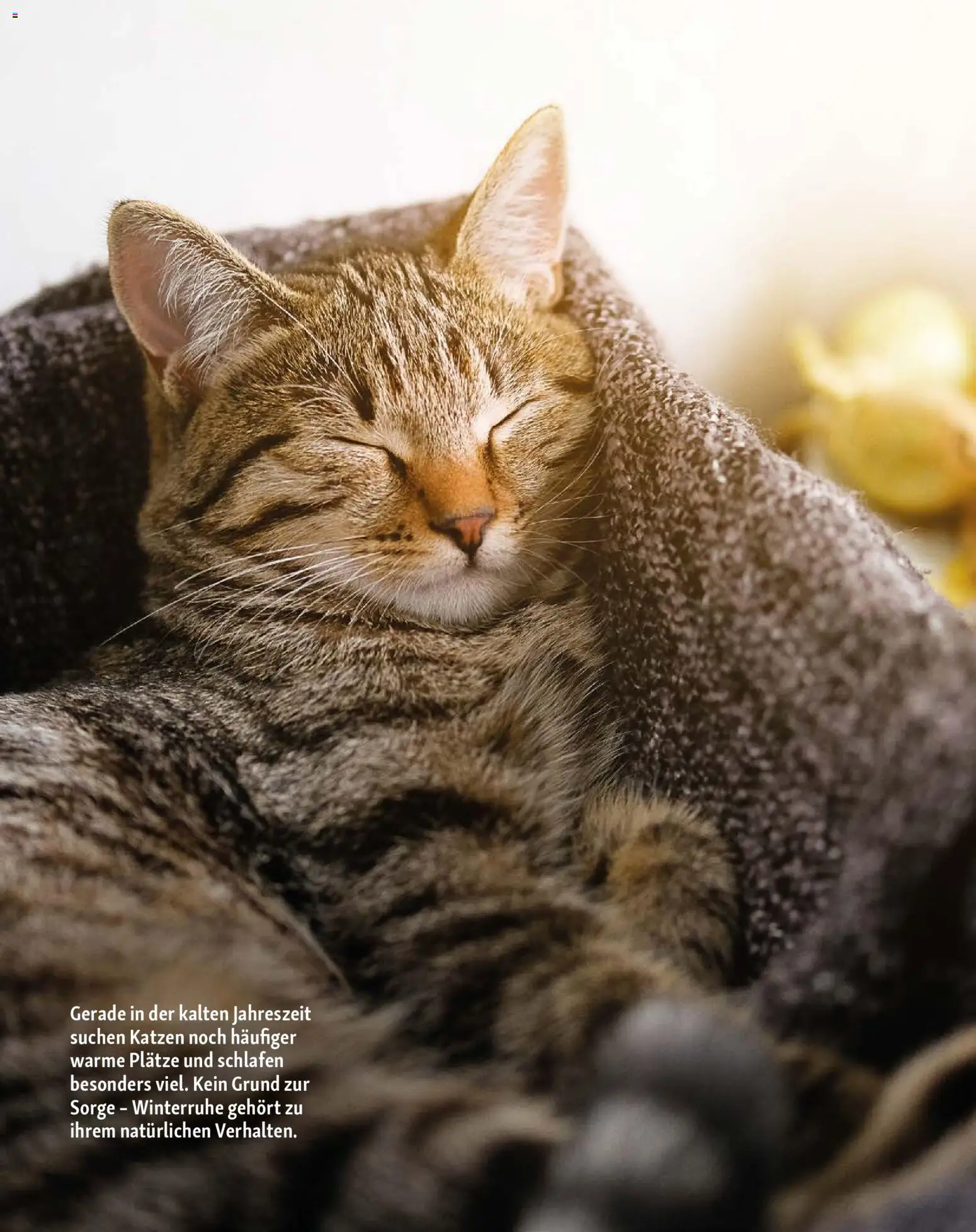 Fressnapf Friends Magazin – gültig ab 01.01.2026 | Seite: 15