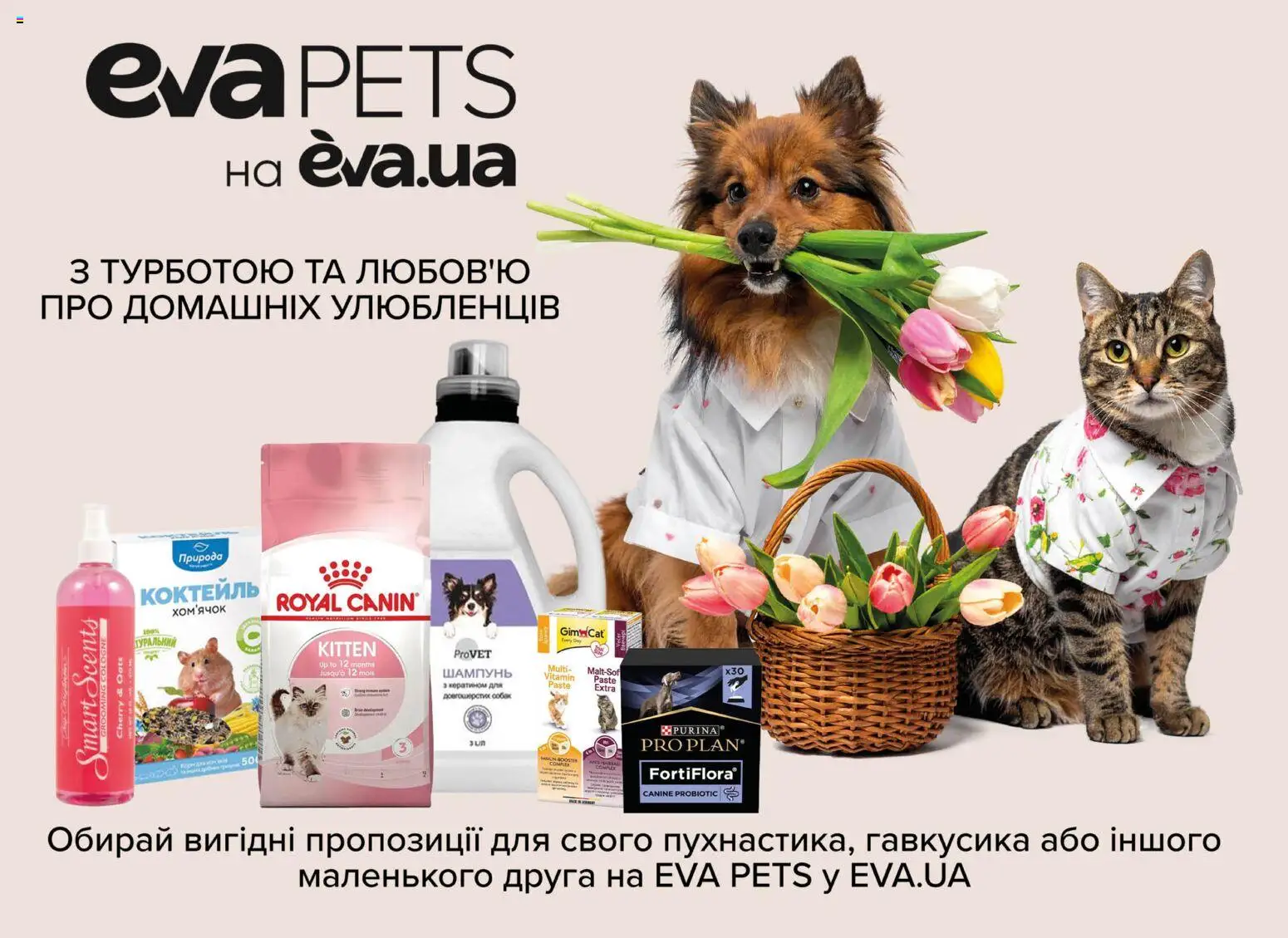 Eva - Поточний каталог Kаталог - дійснийкції з 19.03.2026 | Сторінка: 48 | Товари: Шампунь