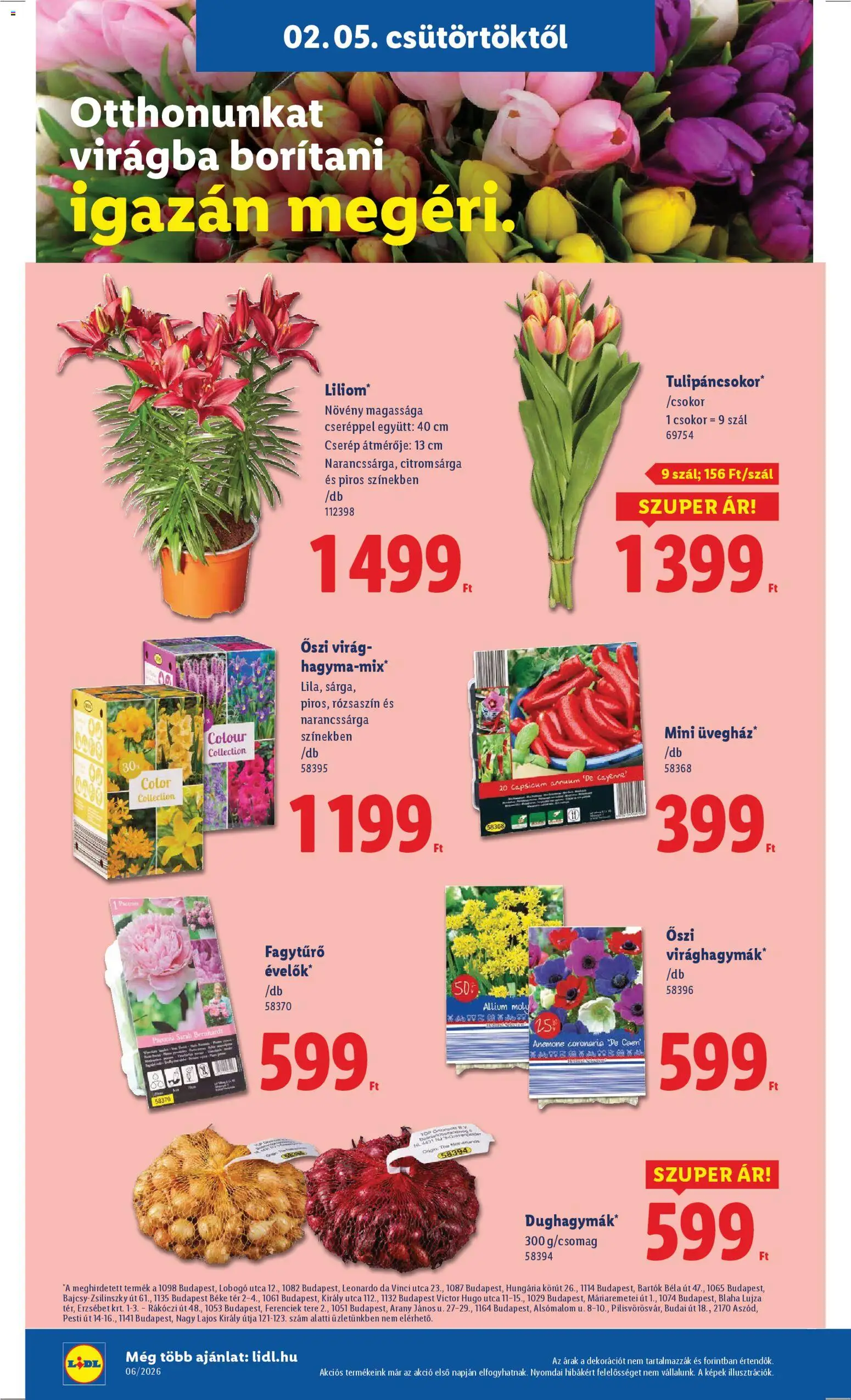 Lidl akciós ujság - amely érvényes a következő dátumtól: 05.02.2026 | Oldal: 16 | Termékek: Virag