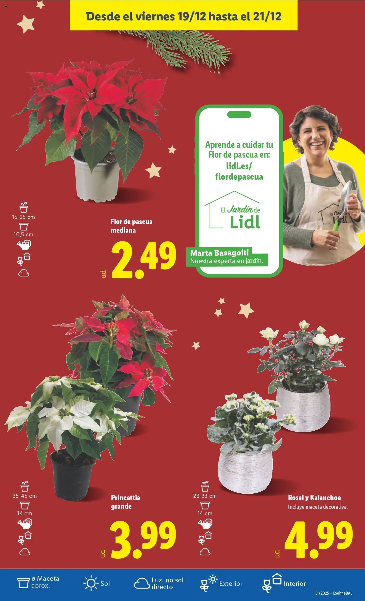 Lidl folleto │ válido desde el 15.12.2025 | Página: 46 | Productos: Maceta