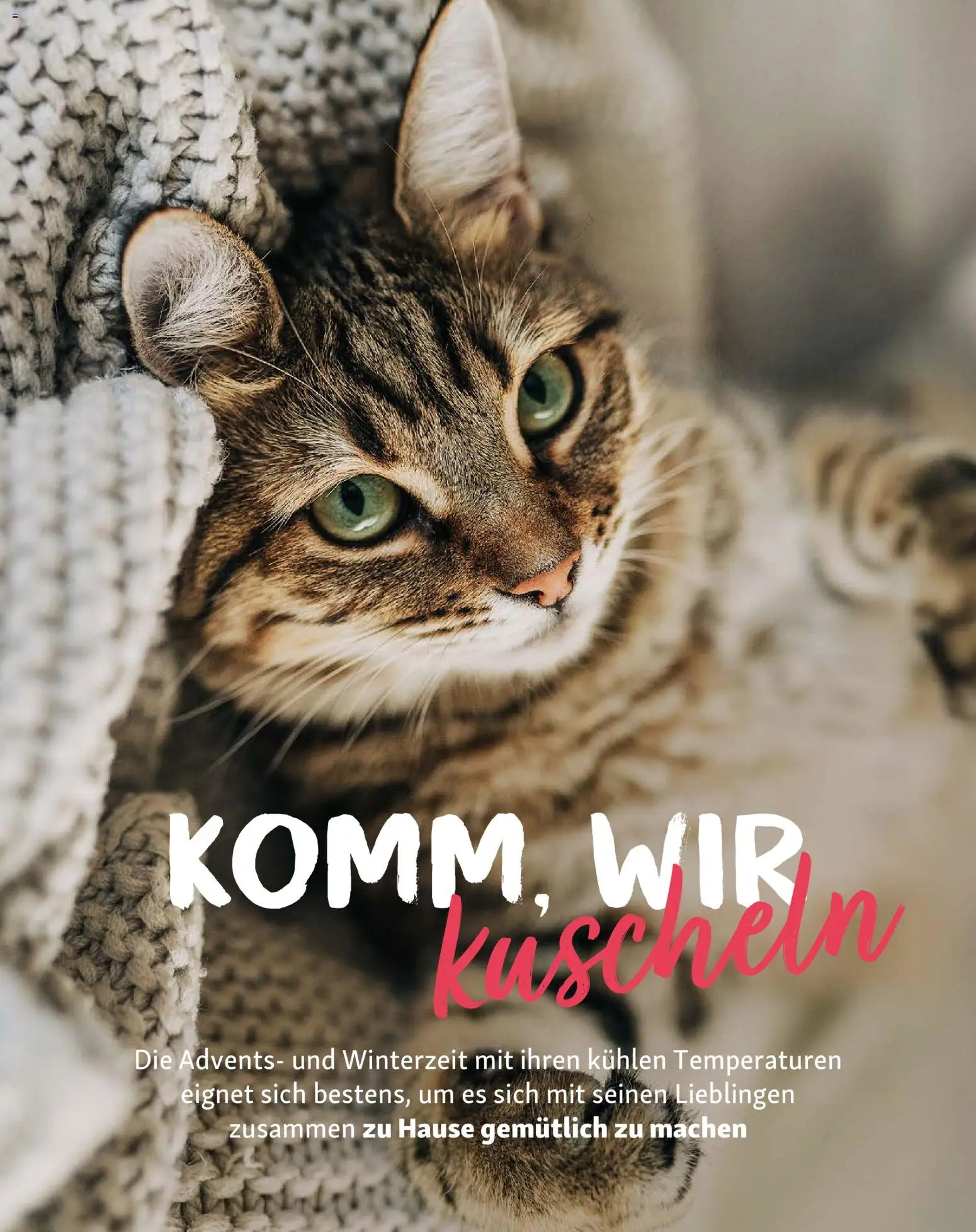 Fressnapf Magazin – gültig ab 01.11.2025 | Seite: 11