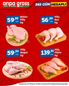 17.11.2025 tarihinden itibaren geçerli olan Anpa Gross kataloğu önizlemesi