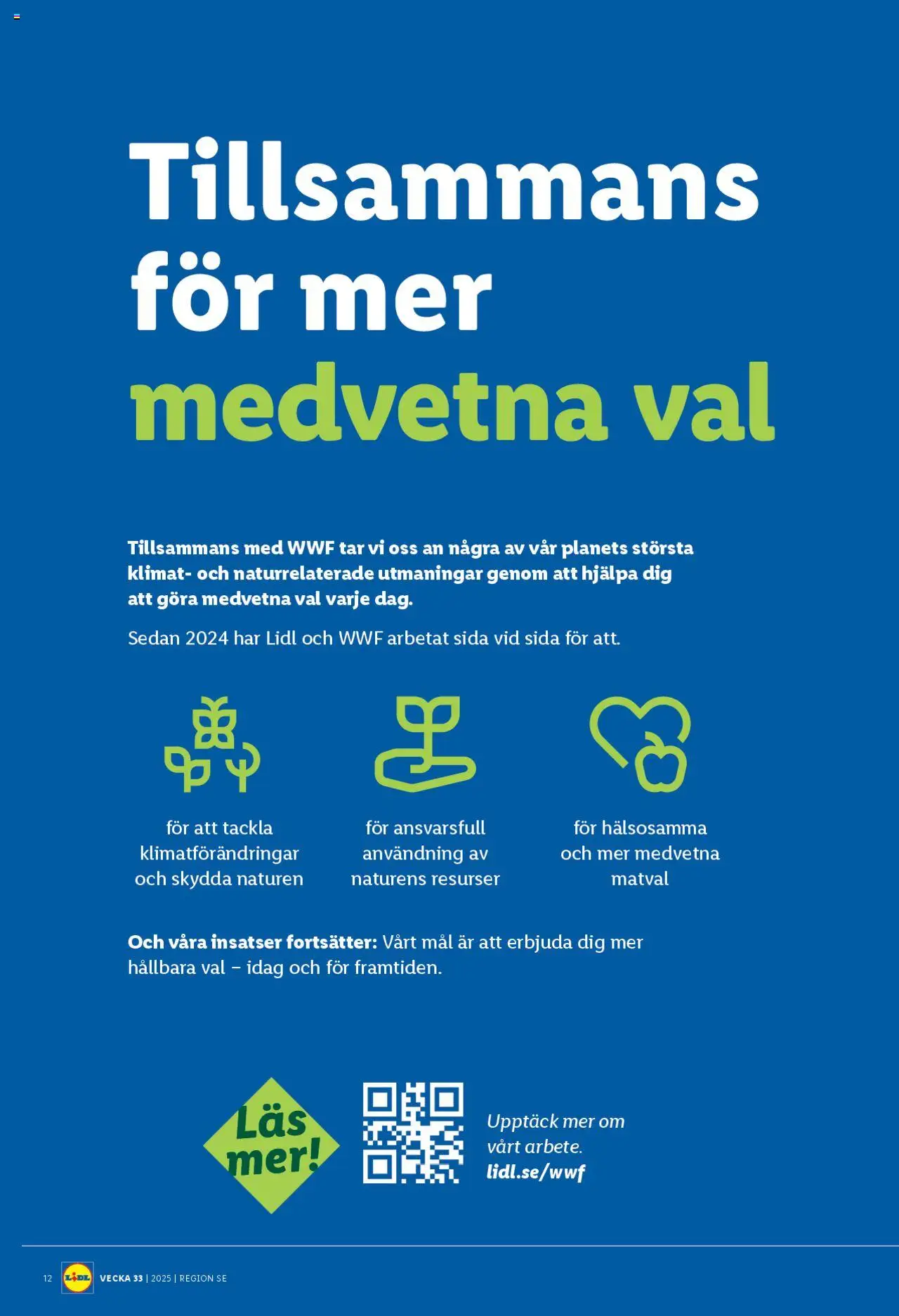 Lidl reklamblad aktuell från 11.08.2025 | Sida: 15