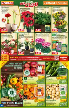 Norma Flugblatt ab 03.11.2025 gültig | Seite: 13 | Produkte: Gemüse, Obst, Kaki, Gewicht