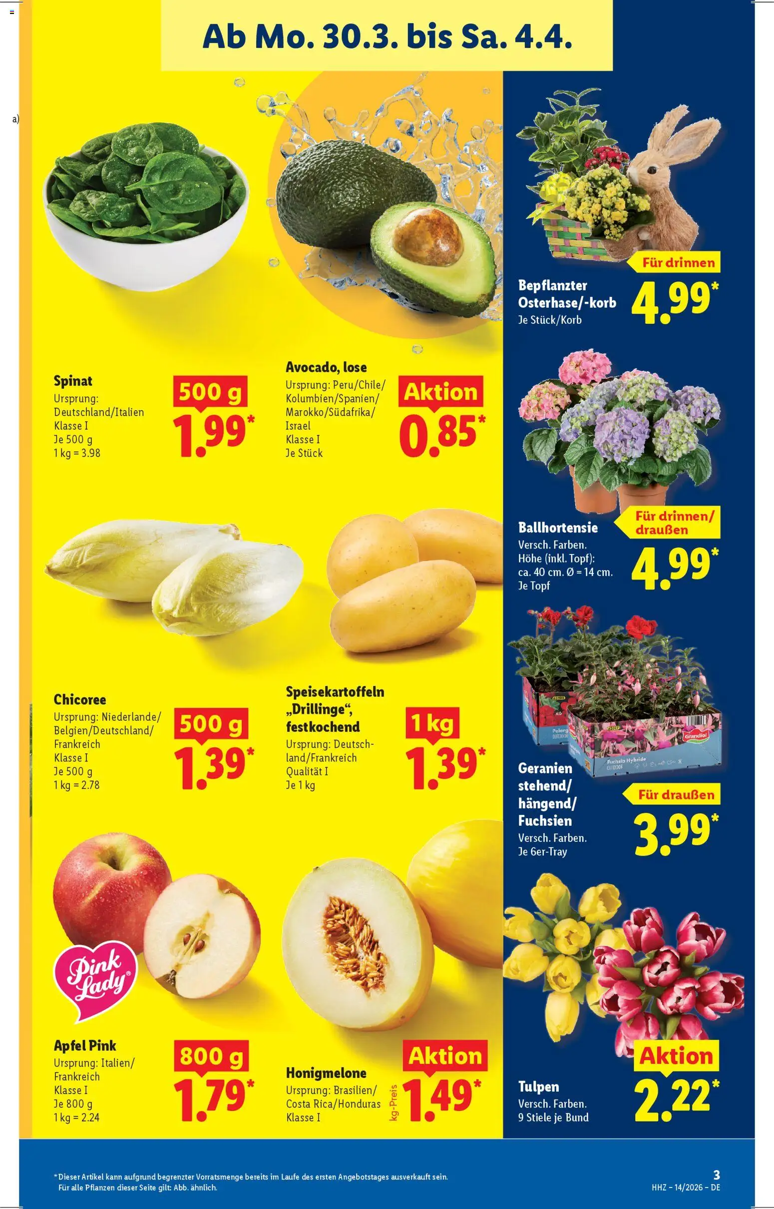 Lidl Prospekt – gültig ab 30.03.2026 | Seite: 9