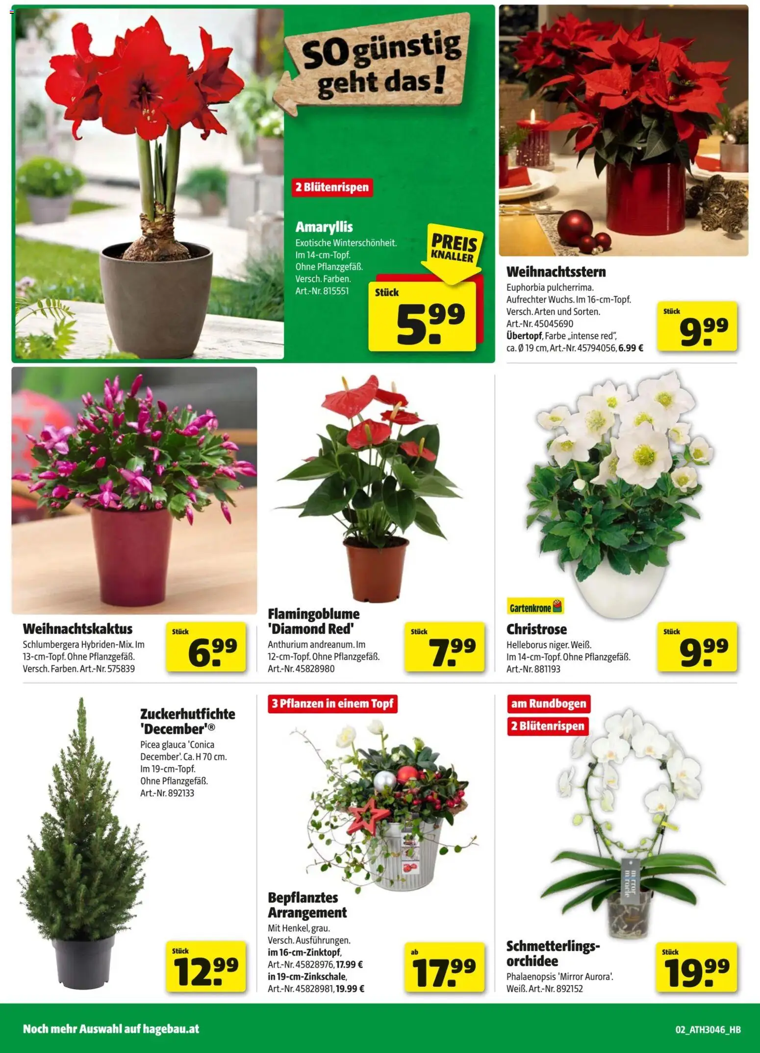 Hagebau Flugblatt gültig ab 04.11.2025 | Seite: 2