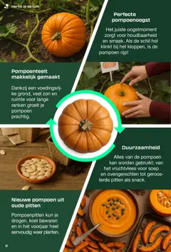  | Pagina: 9 | Producten: Pitten, Pompoen, Kan