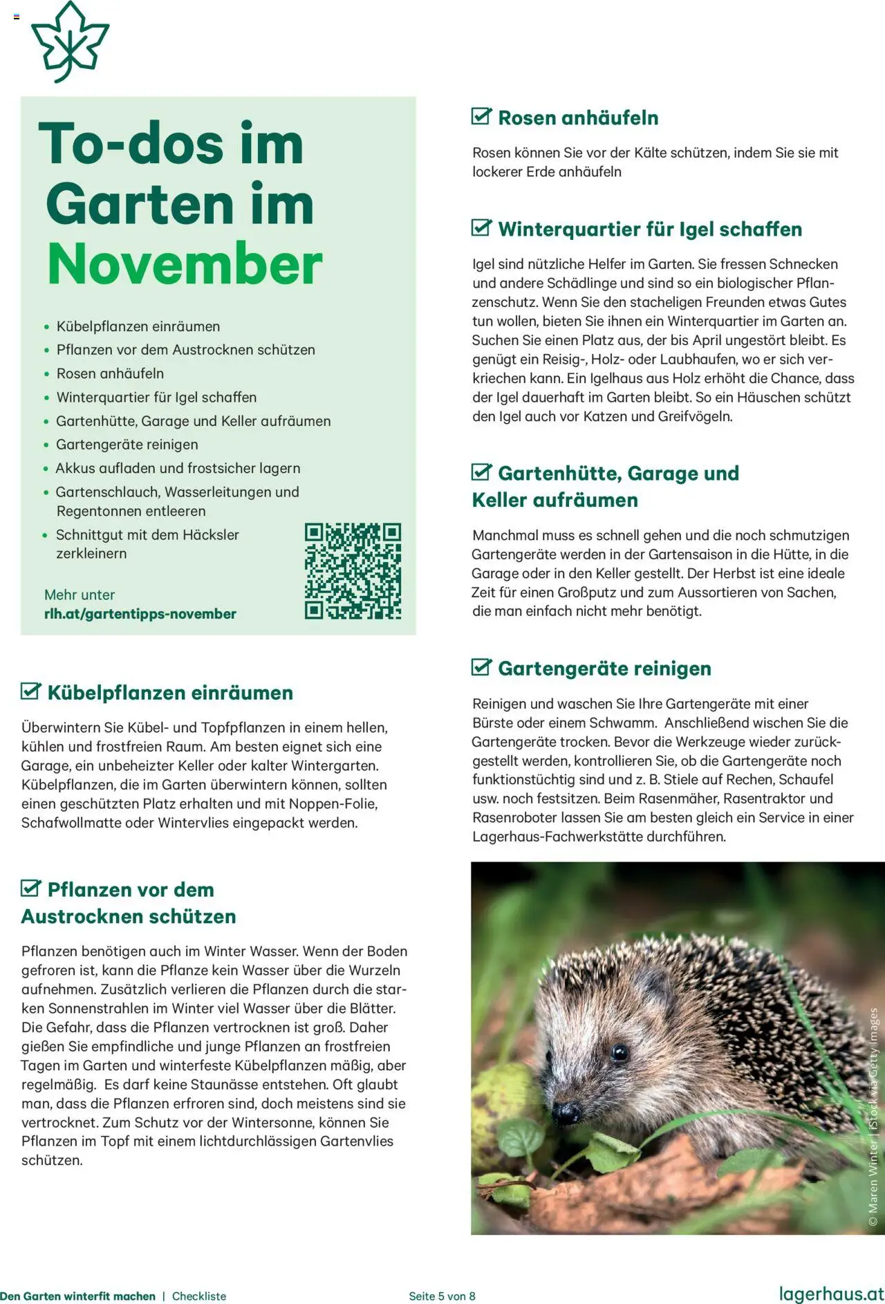Lagerhaus Den Garten winterfit machen gültig ab 20.10.2025 | Seite: 5 | Produkte: Wasser, Bürste