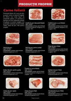 Ofertele Selgros valabile de la 25.03.2026 | Pagină: 10 | Produse: Keçeli kalem, Carne De Porc, Gulaș, Fleică