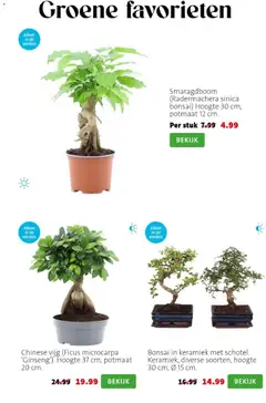 Intratuin folder - Voorbeeld van een folder van Intratuin, geldig van 09.03.2026 | Pagina: 2 | Producten: Keramiek