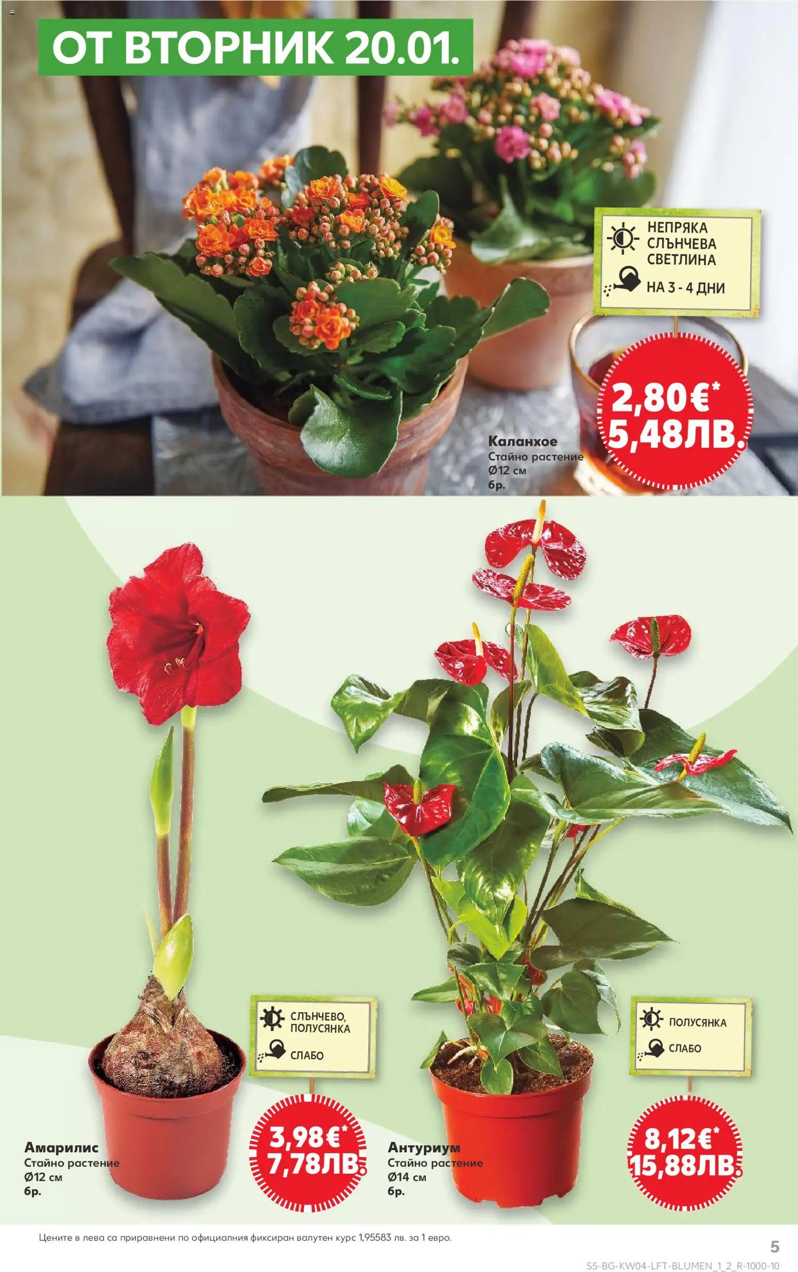 {H1} | Страница: 5