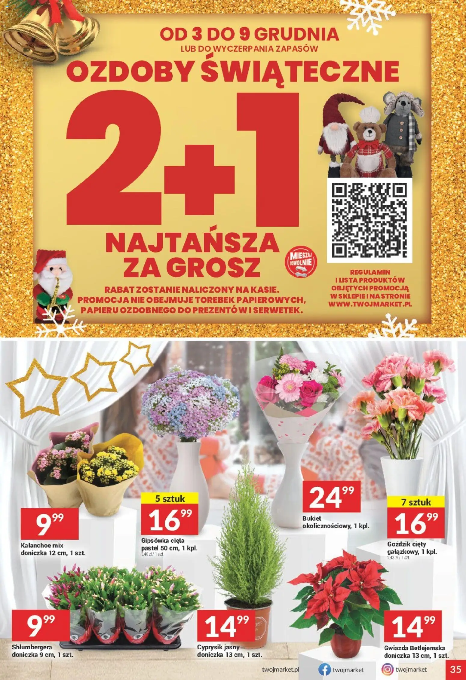 Twój Market Gazetka od 03.12.2025 | Strona: 35 | Produkty: Ozdoby świąteczne, Goździk, Doniczka, Kalanchoe