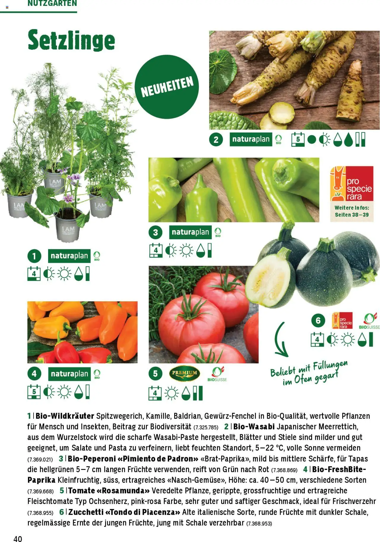 Jumbo Aktionen Dein Garten 2025 ab 21.02.2025 | Seite: 40 | Produkte: Pasta, Früchte, Ofen