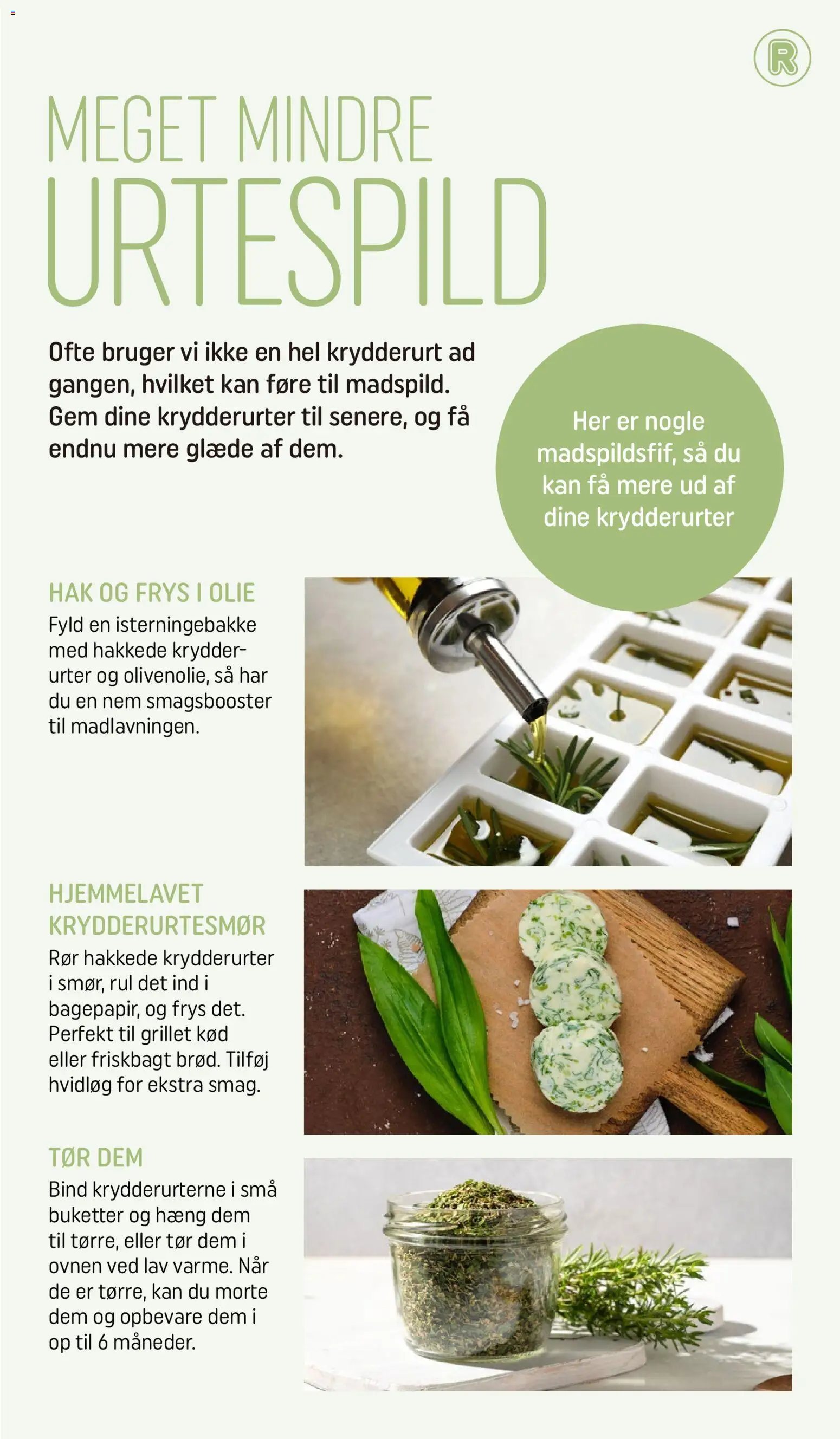 Rema 1000 tilbudsavis – gyldig fra 31.03.2026 | Side: 7 | Produkter: Olie, Hvidløg