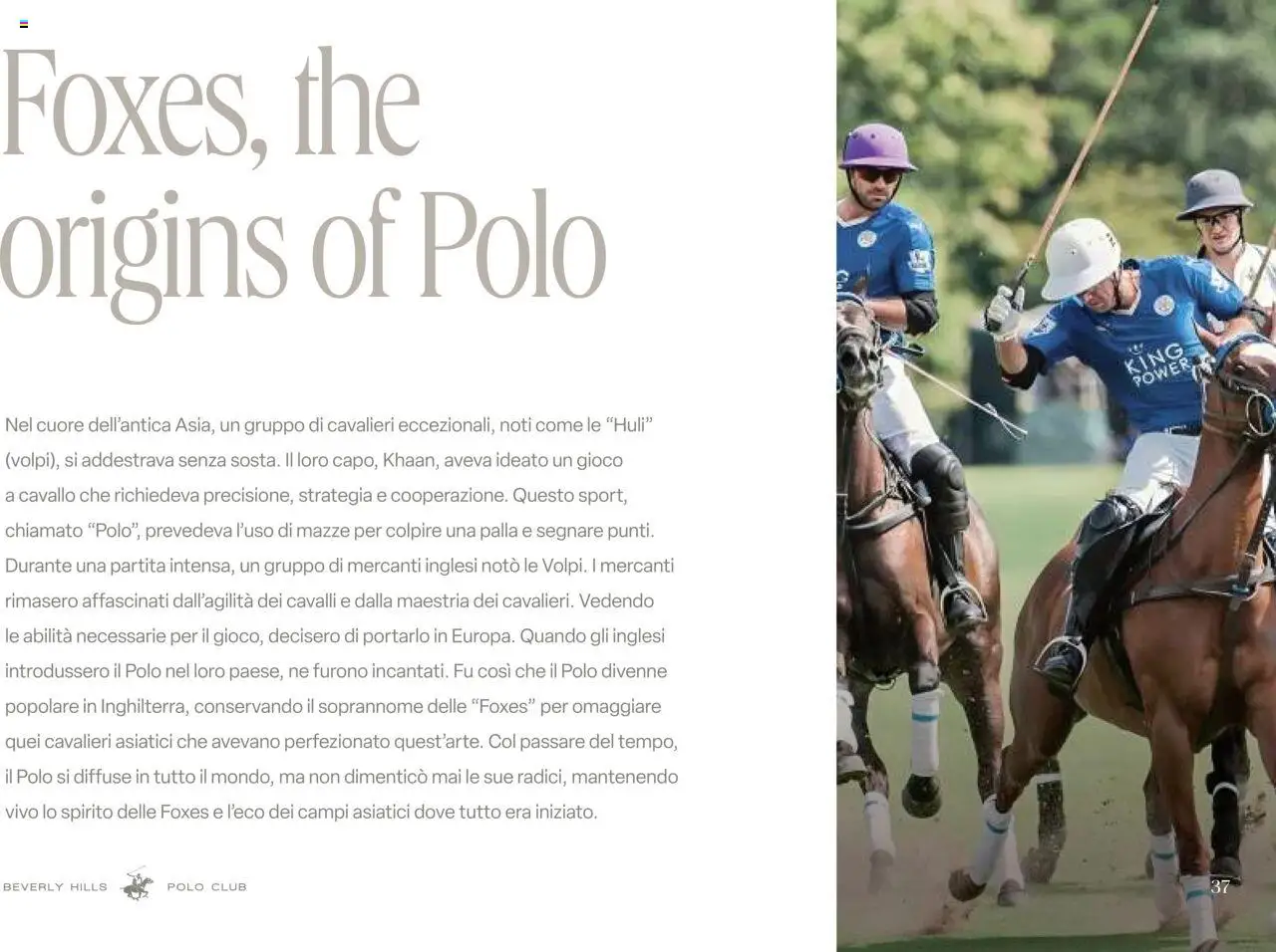 IFA Europe - Polo club καταλογο – σε ισχύ από 01.10.2025 | Σελίδα: 37