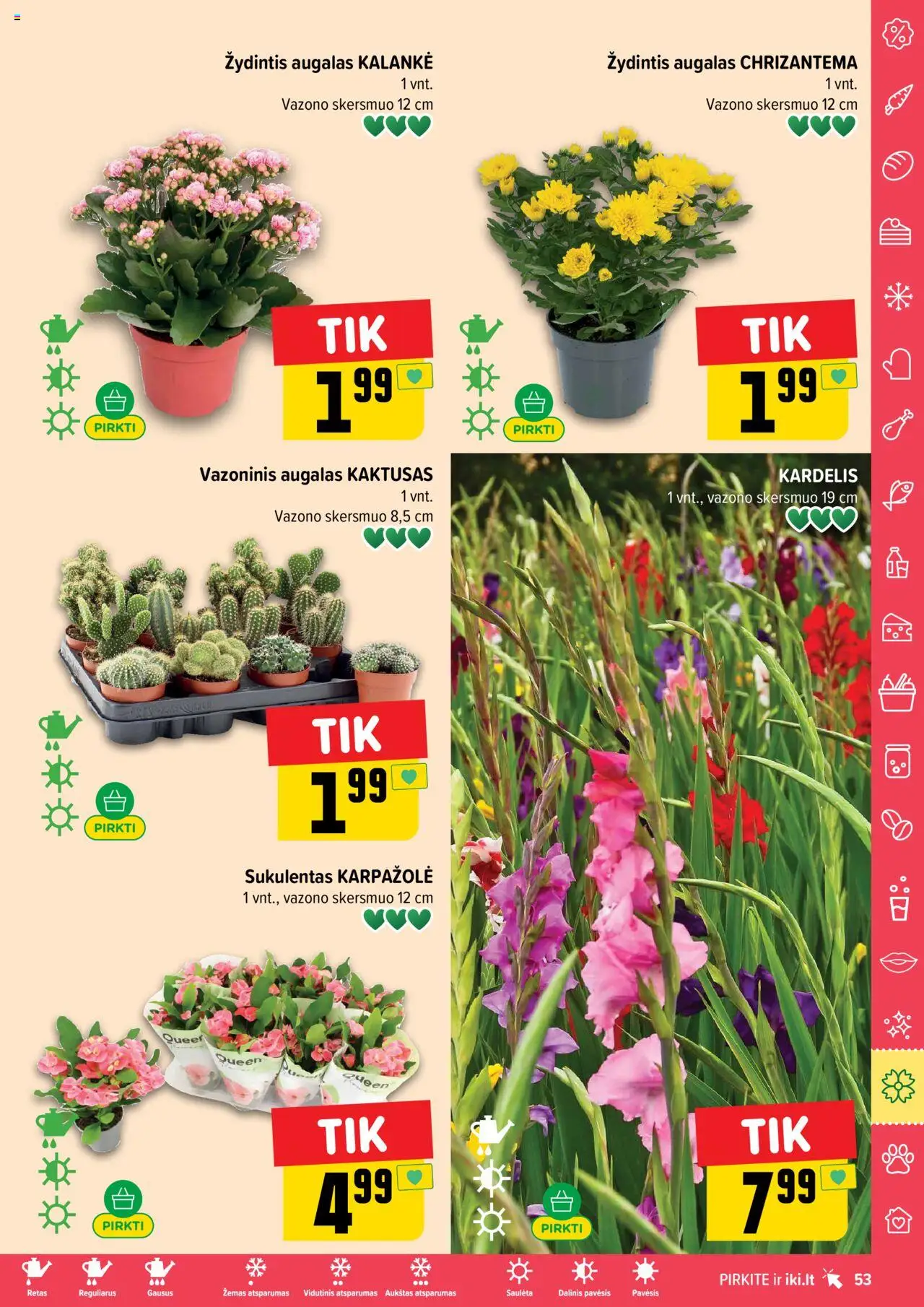 IKI leidinys│galioja nuo 18.08.2025 | Puslapis: 53