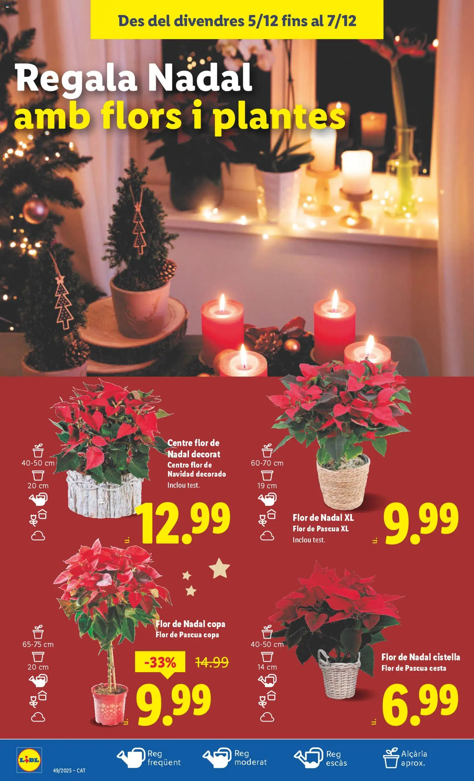 Lidl folleto │ válido desde el 01.12.2025 | Página: 52 | Productos: Cesta