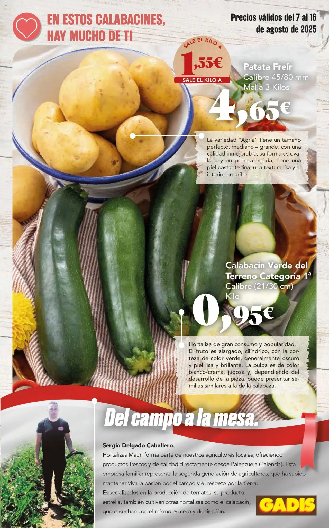 Gadis folleto │ válido desde el 07.08.2025 | Página: 5 | Productos: Calabacín, Mesa