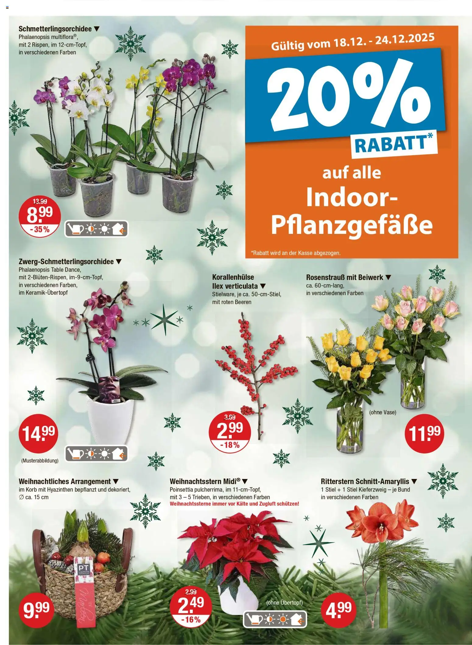 V-Markt - Hallertau / Oberpfalz – gültig ab 18.12.2025 | Seite: 20 | Produkte: Korb, Vase