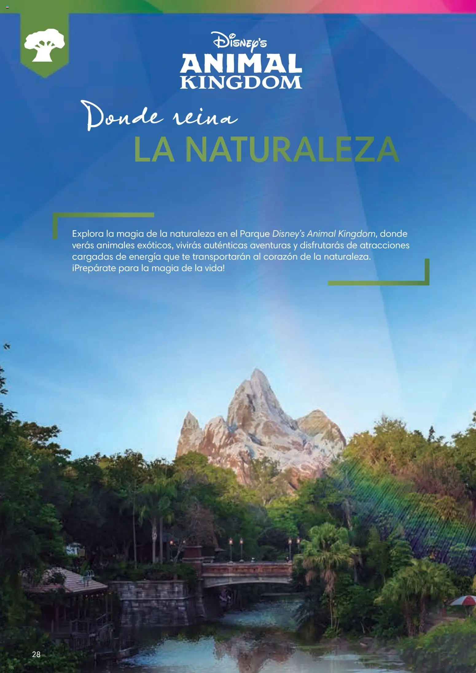 Viajes El Corte Inglés Folleto Walt Disney World │ válido desde el 03.12.2025 | Página: 28 | Productos: Té