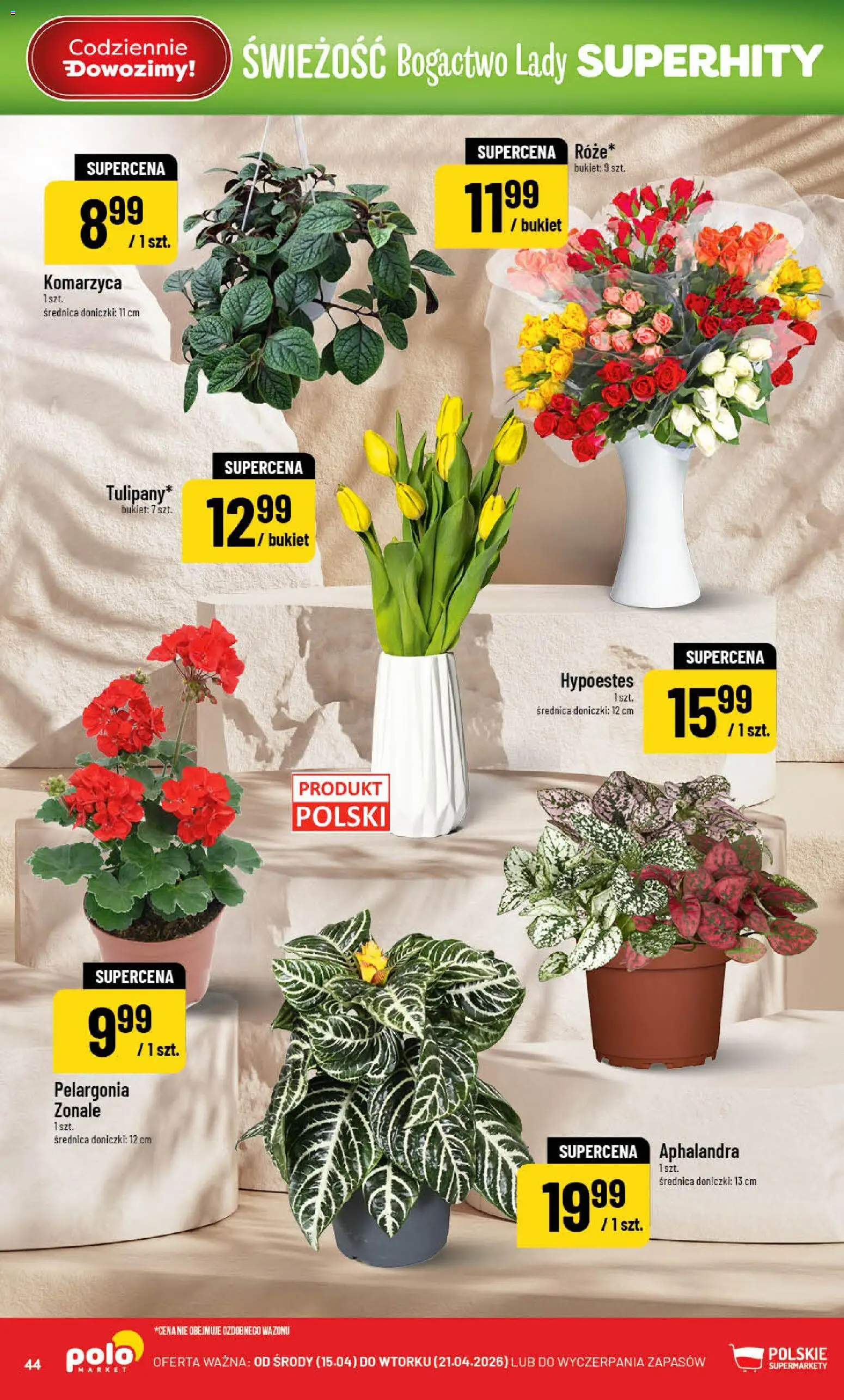 POLOmarket gazetka od 15.04.2026 | Strona: 44 | Produkty: Doniczki