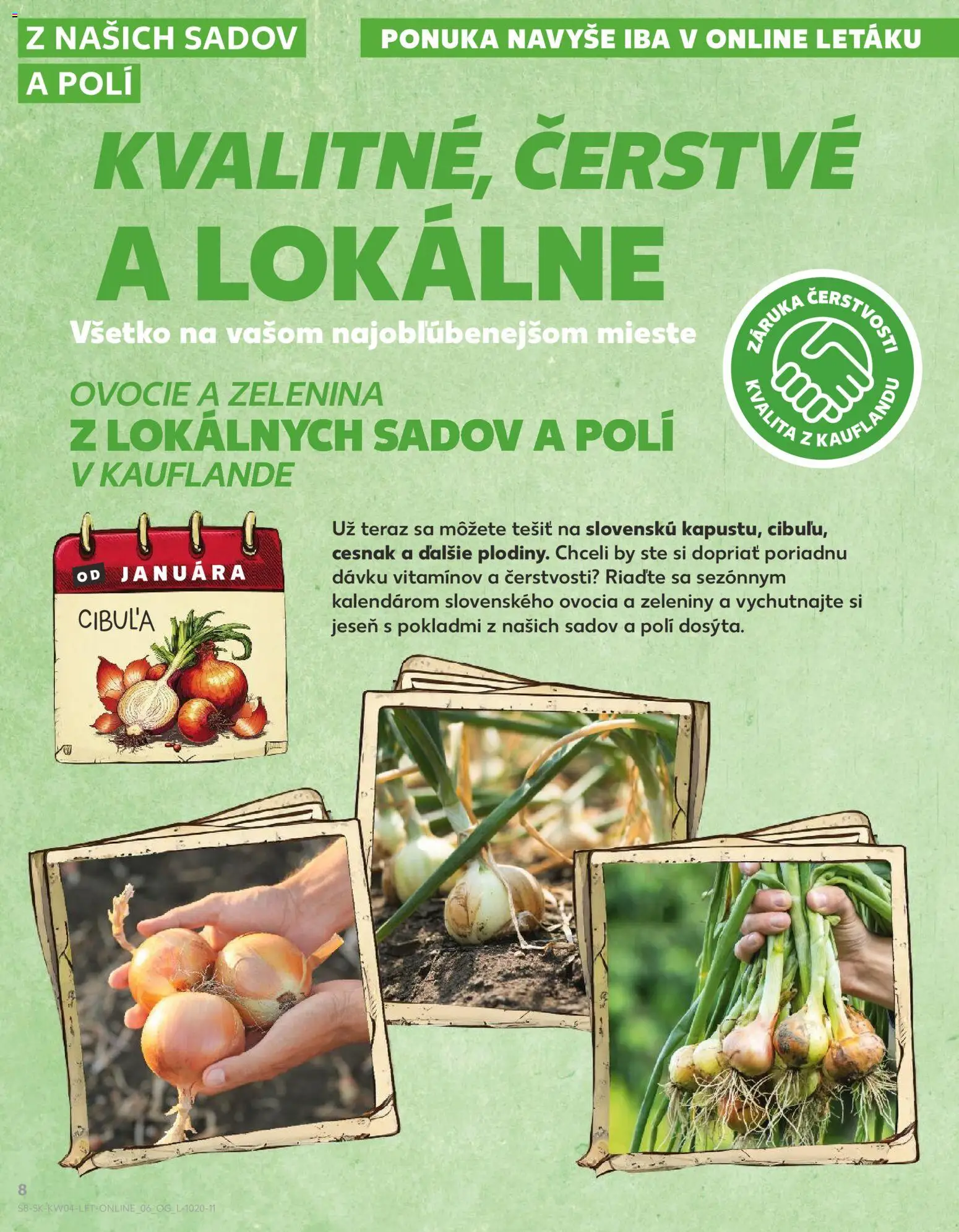 Nové Kaufland akcie – leták je platný od 22.01.2026 | Strana: 8 | Produkty: Cesnak, Cibuľa, Ovocie