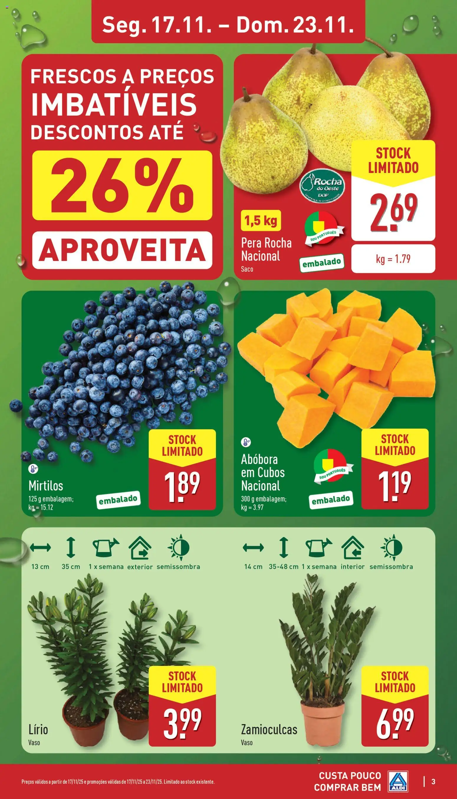 Aldi folheto │ válido de 17.11.2025 | Página: 3 | Produtos: Vaso, Abóbora, Mirtilos