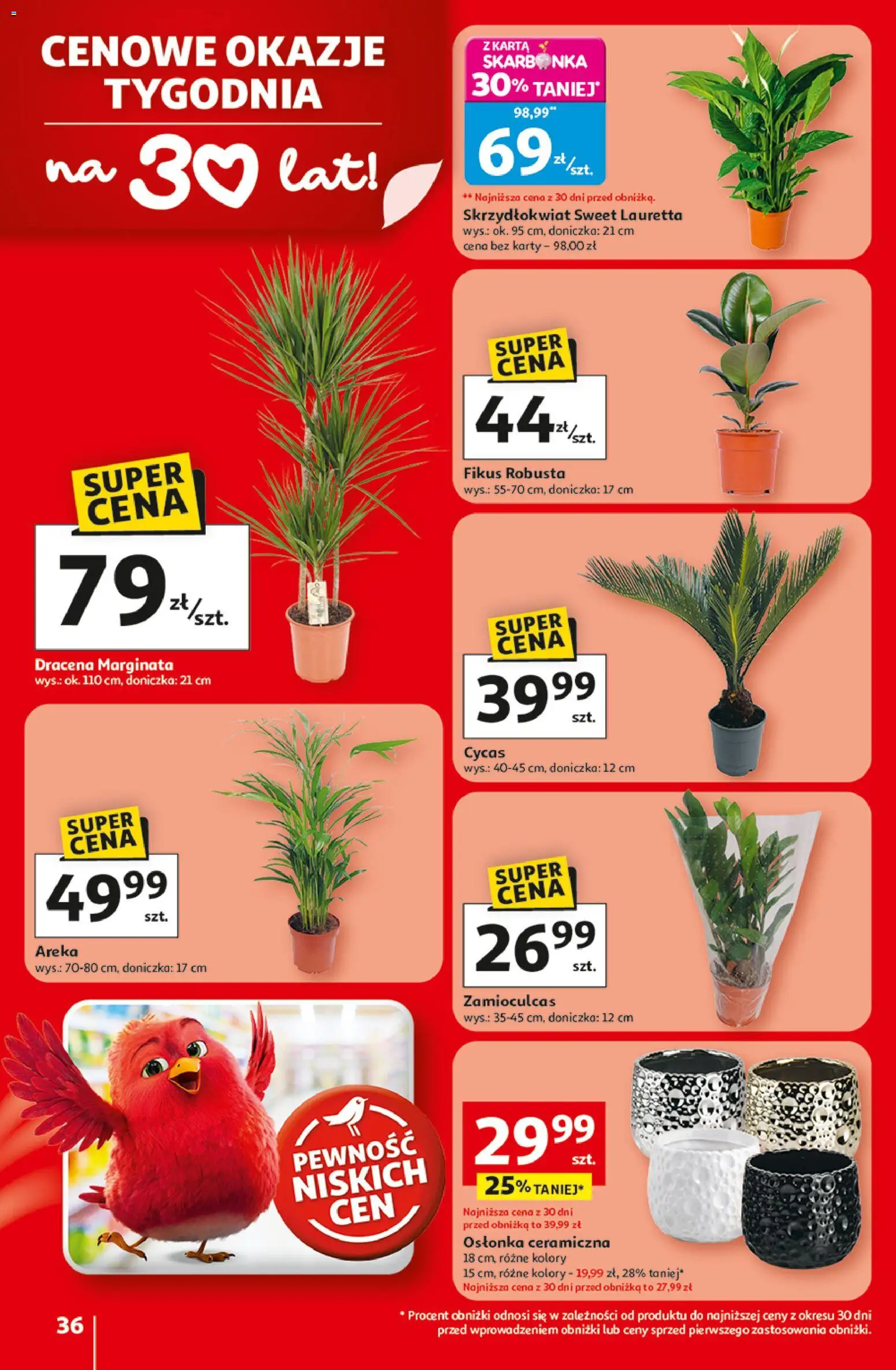 Auchan Gazetka - 30 Lat Hipermarket od 19.02.2026 | Strona: 36 | Produkty: Karta, Doniczka, Zamioculcas, Fikus