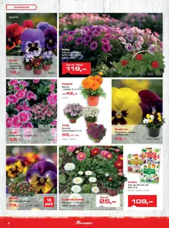 Náhled letáku Uni Hobby leták od 05.03.2026 | Strana: 2