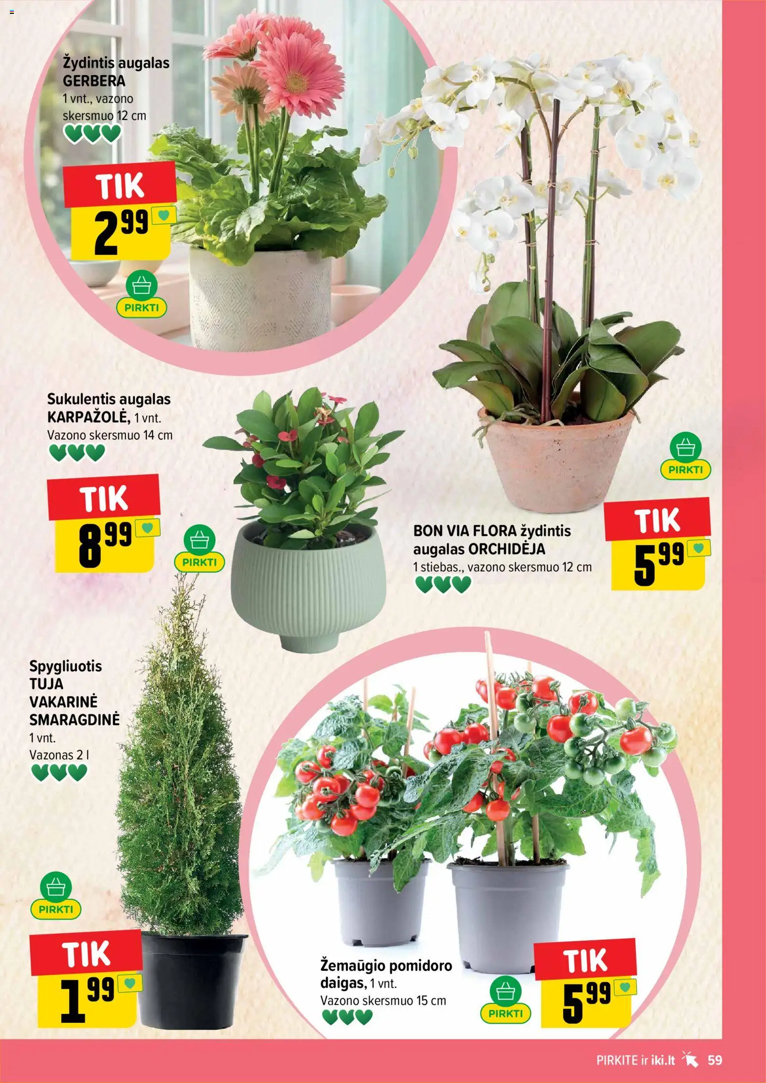 IKI akcijos nuo 27.04.2026 | Puslapis: 59 | Prekių: Vazonas