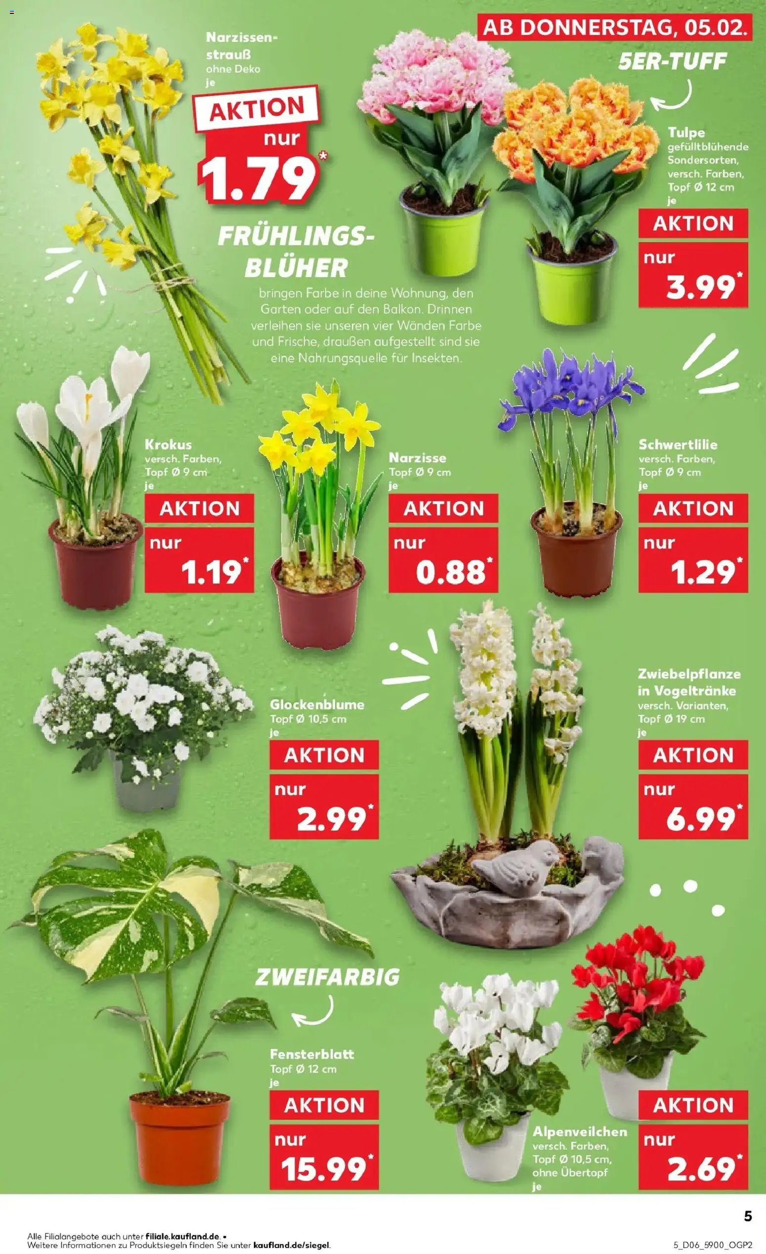 Kaufland prospekt Wittstock Dosse	 – gültig ab 05.02.2026 | Seite: 5