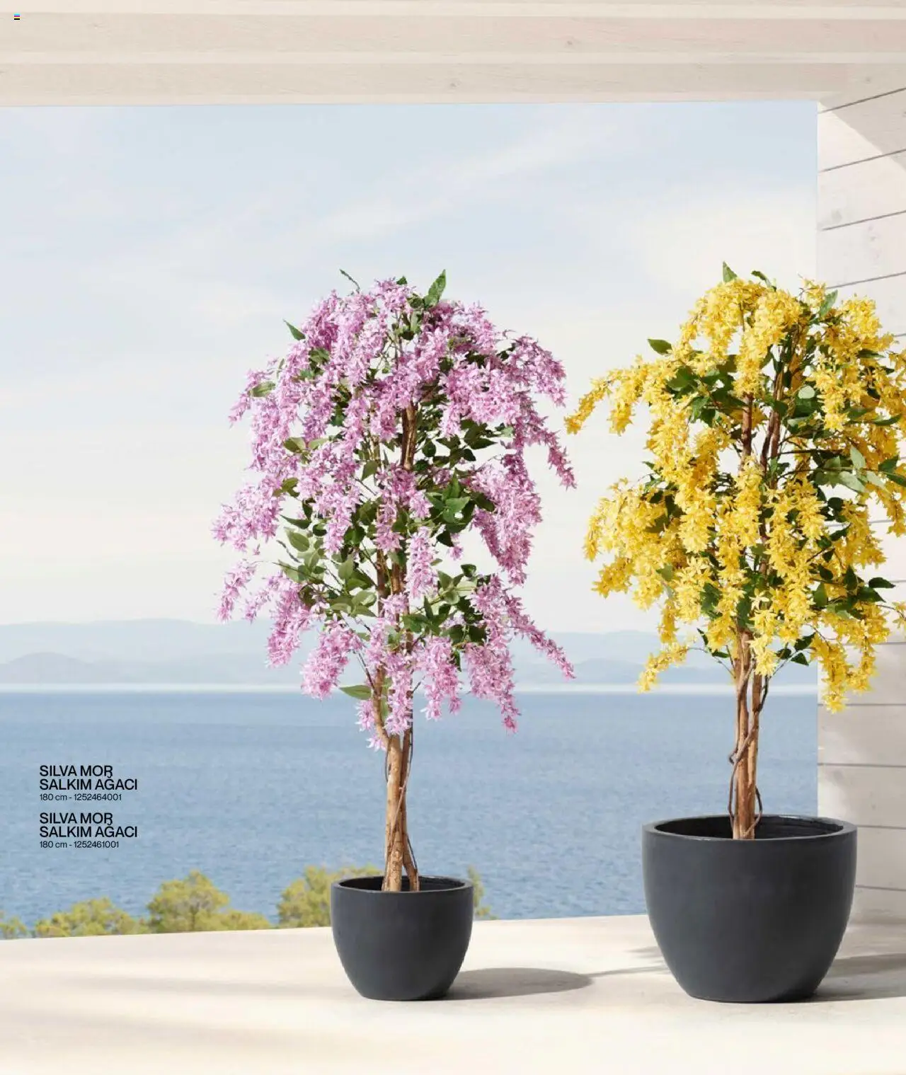 Mudo Katalog - BAHÇE 2025 - 04.06.2025 tarihinden itibaren geçerlidir | Sayfa: 170