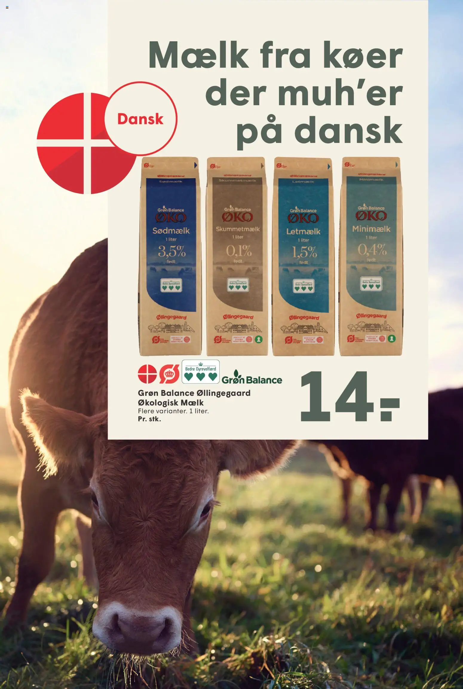 Spar tilbudsavis – gyldig fra 20.03.2026 | Side: 11 | Produkter: Mælk, Jogo de ferramentas