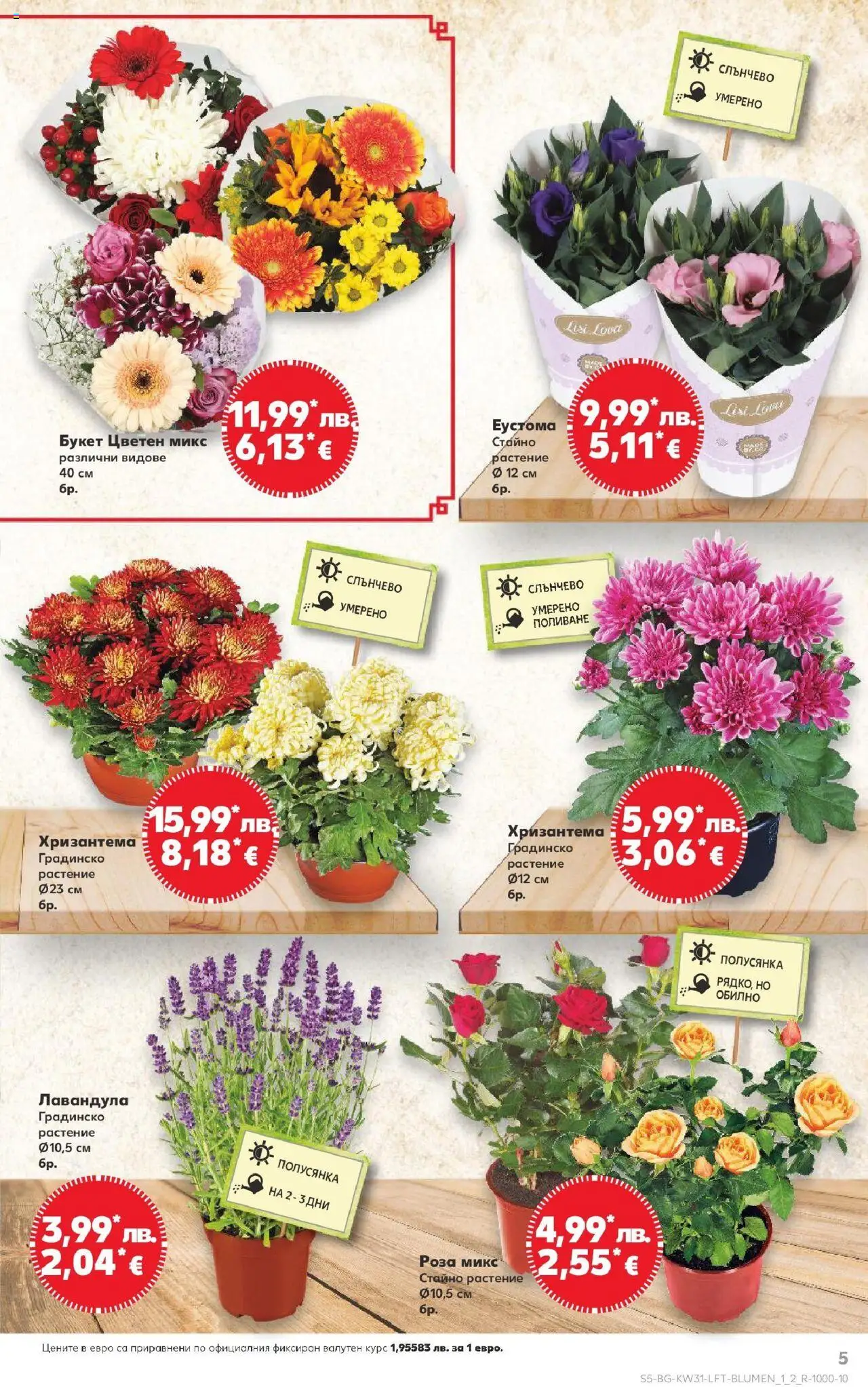  | Страница: 5 | Продукти: Хризантема, Роза