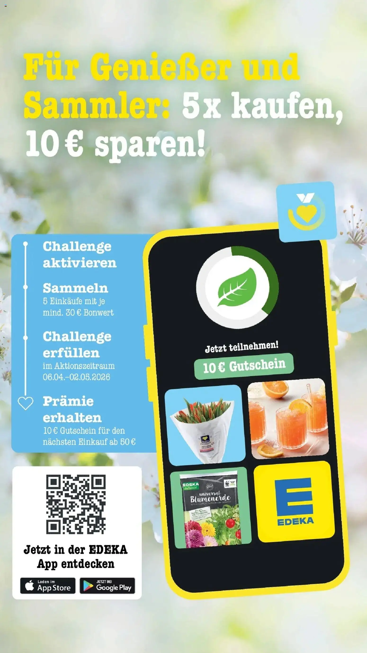 Edeka prospekt Offenbach	 – gültig ab 20.04.2026 | Seite: 13 | Produkte: Blumenerde