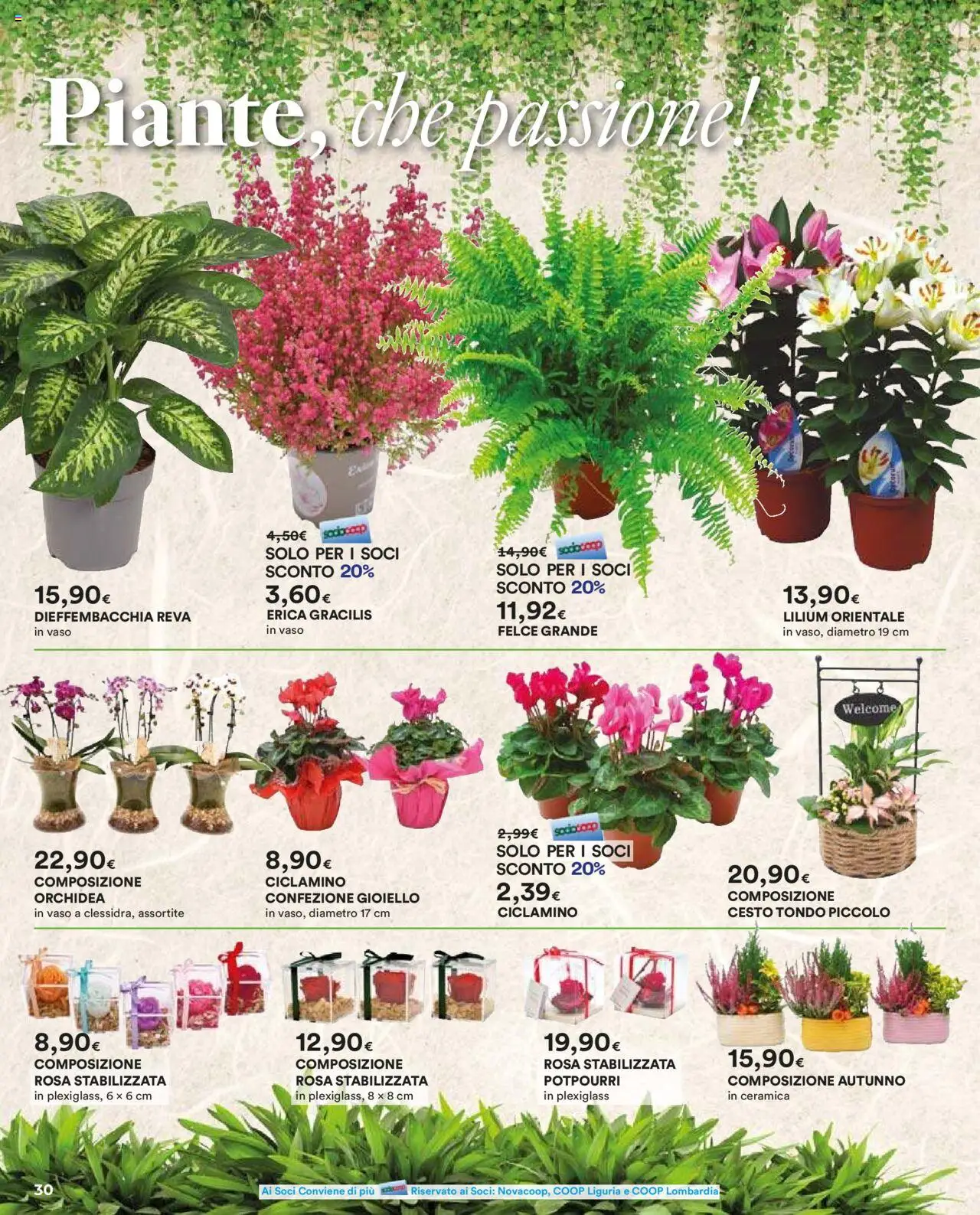 Volantino Ipercoop del 16.10.2025 | Pagina: 30 | Prodotti: Orchidea, Vaso