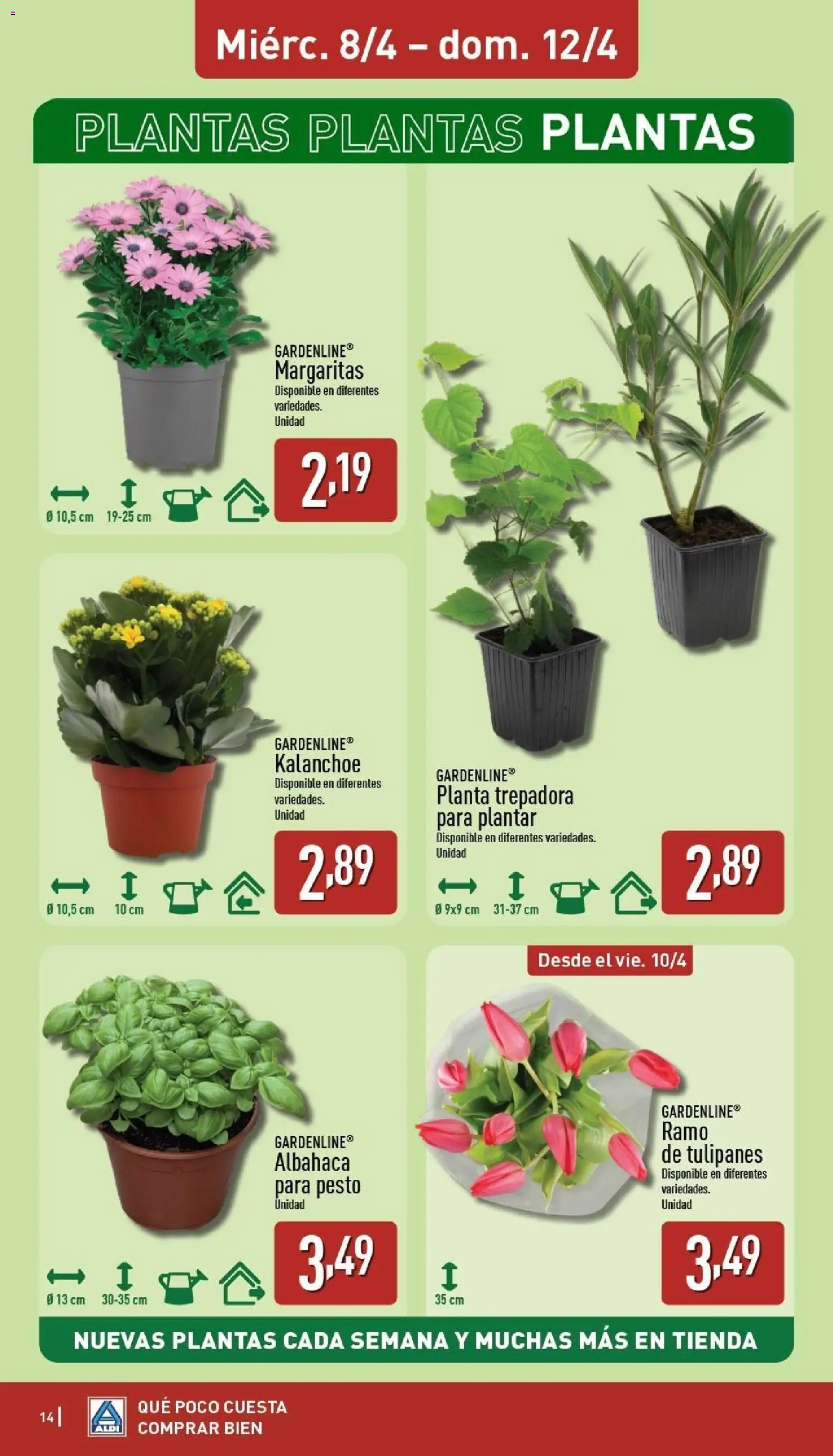 Aldi folleto Baleares │ válido desde el 06.04.2026 | Página: 14