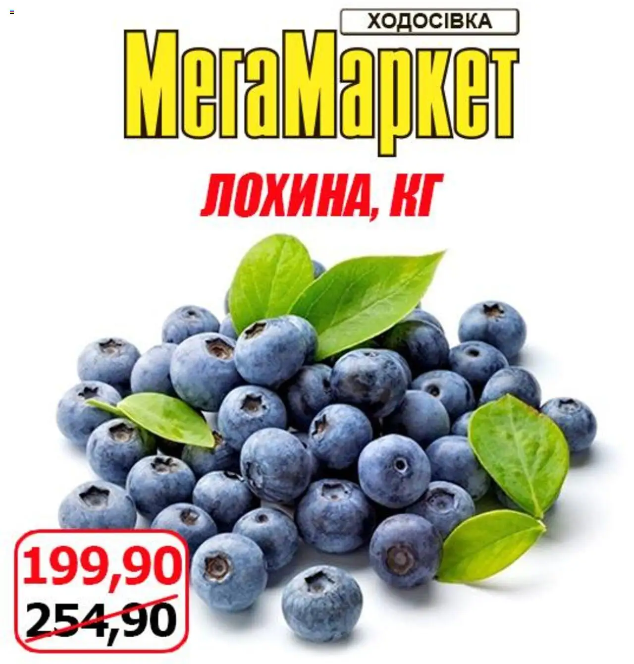 Мегамаркет Kаталог - дійснийкції з 01.08.2025 | Сторінка: 3
