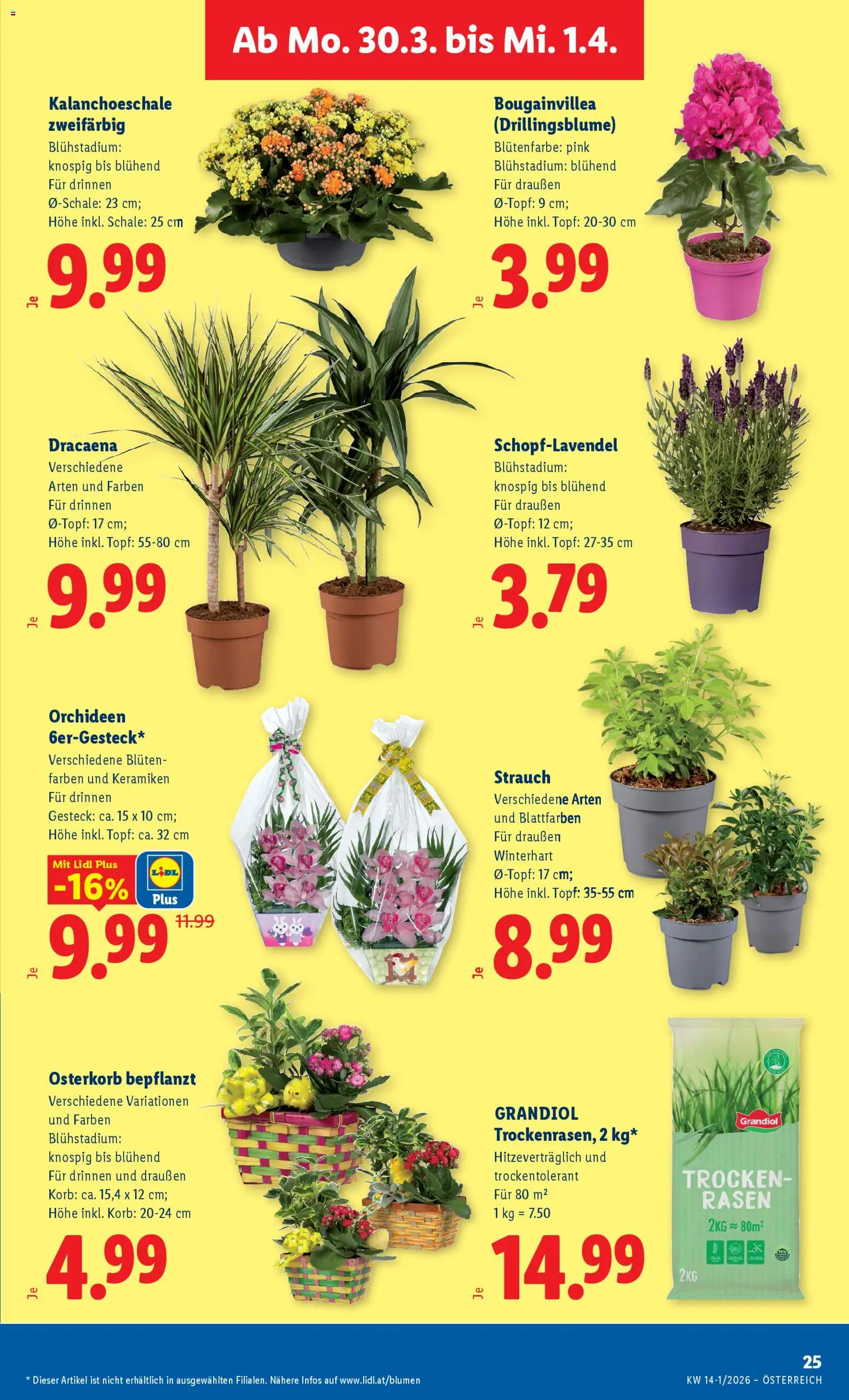 Lidl Flugblatt - Oberpullendorf, Güssing, Oberwart gültig ab 26.03.2026 | Seite: 30 | Produkte: Korb