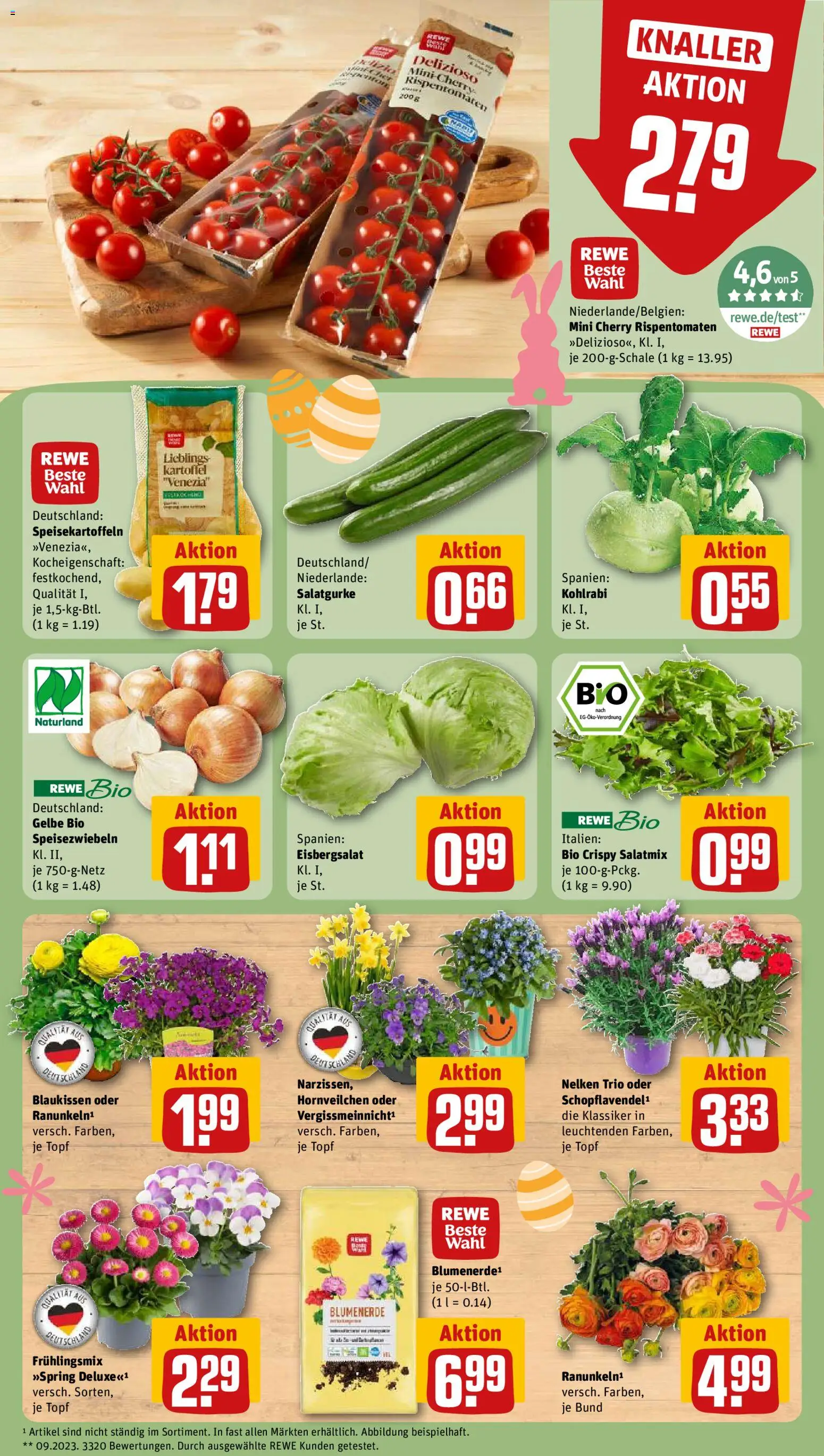 Rewe Prospekt 	 – gültig ab 23.03.2026 | Seite: 9 | Produkte: Kohlrabi, Eisbergsalat, Blumenerde