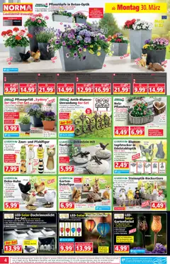 Norma Flugblatt ab 30.03.2026 gültig | Seite: 4