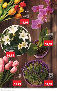 Kaufland RO akciós újság - amely érvényes a következő dátumtól: 22.04.2026 | Oldal: 12