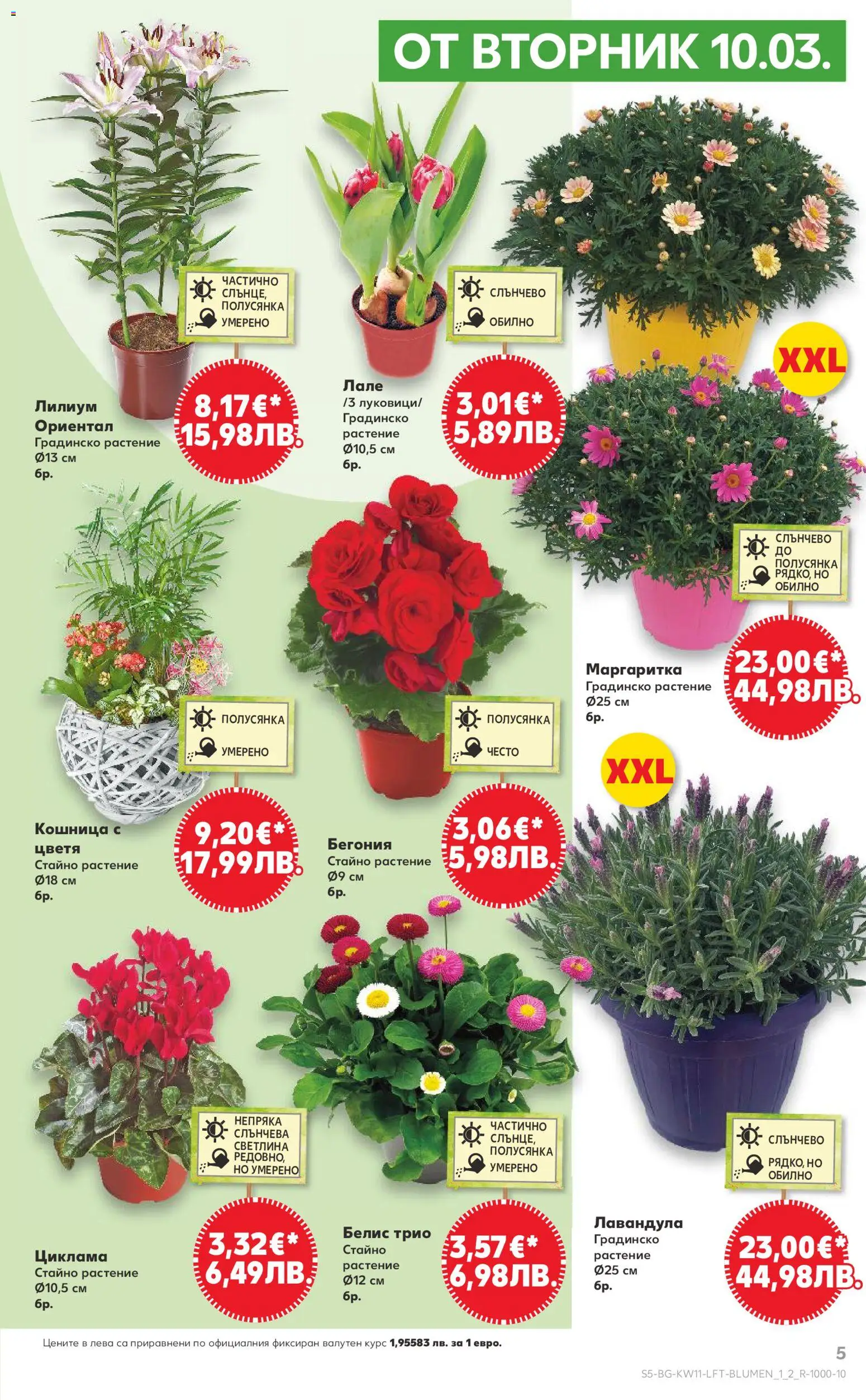 {H1} | Страница: 5 | Продукти: Кошница